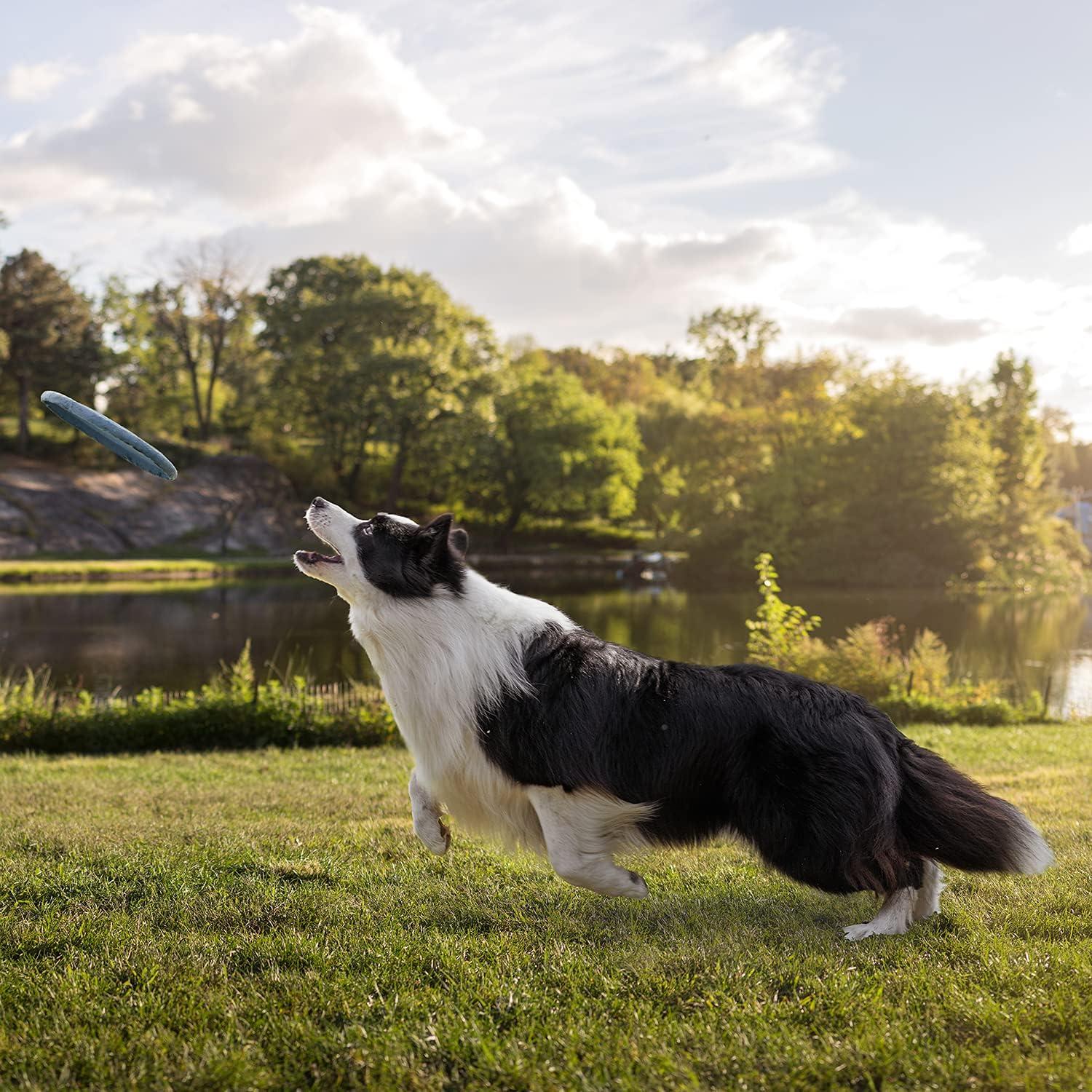 Cubierta de Asiento para Perros Meadowlark Cargo Liner 188x104 cm
