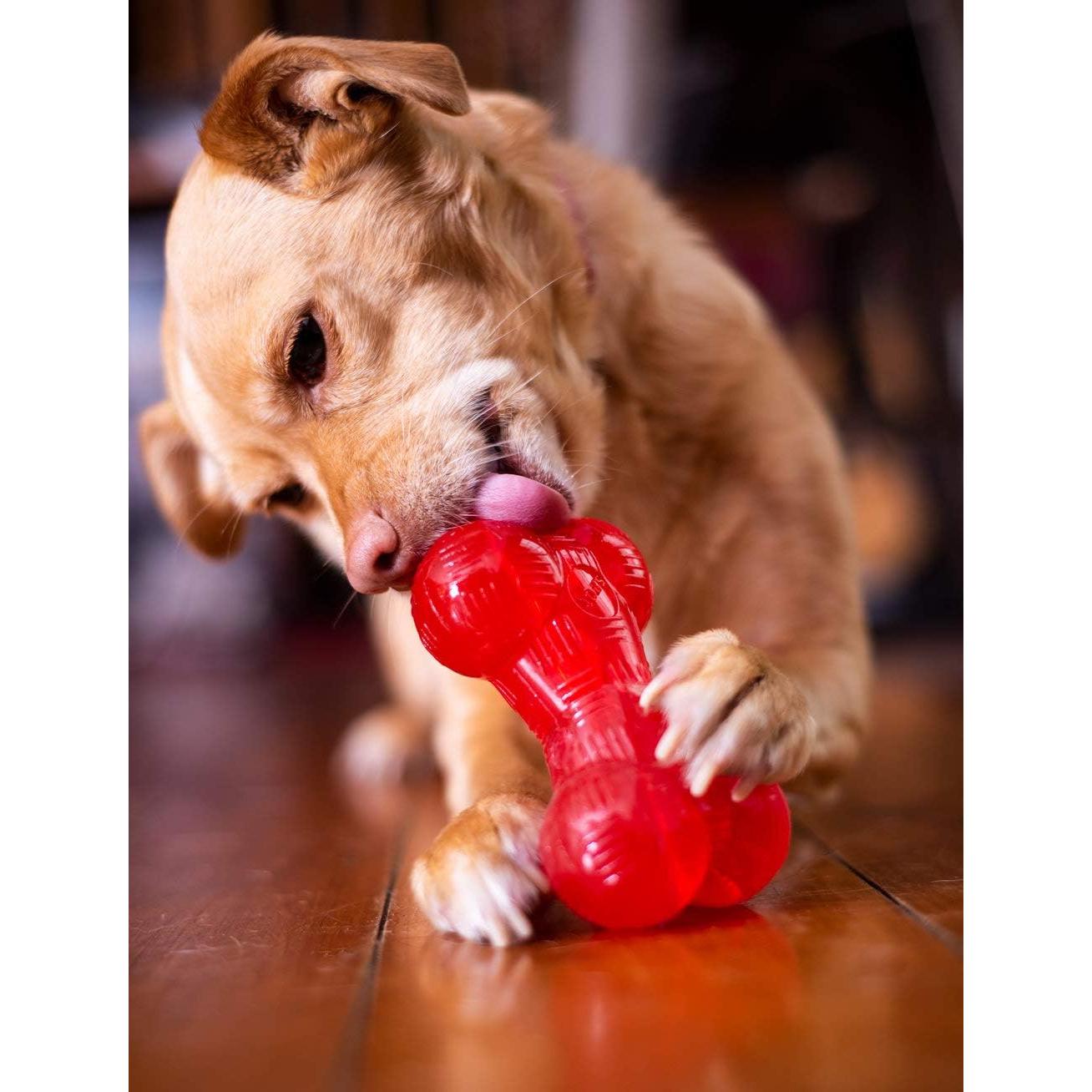 Hueso Fuerte SPOT Play 14 cm - Juguete TPR para Perros Medianos