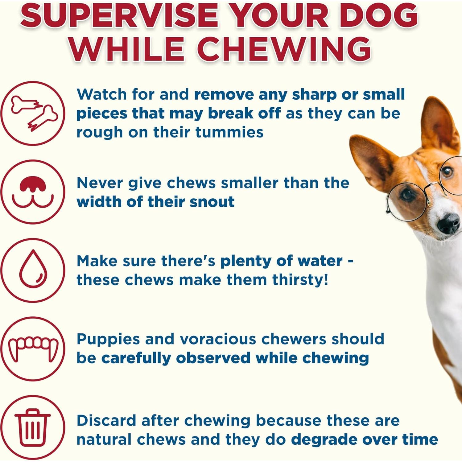 Huesos de Espinilla Rellenos Best Bully Sticks 12.7-15.2 cm - 3 Unidades