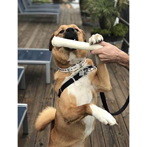 Rollos de piel de res para perros Cowdog Chews 20 paquetes 1.81 kg