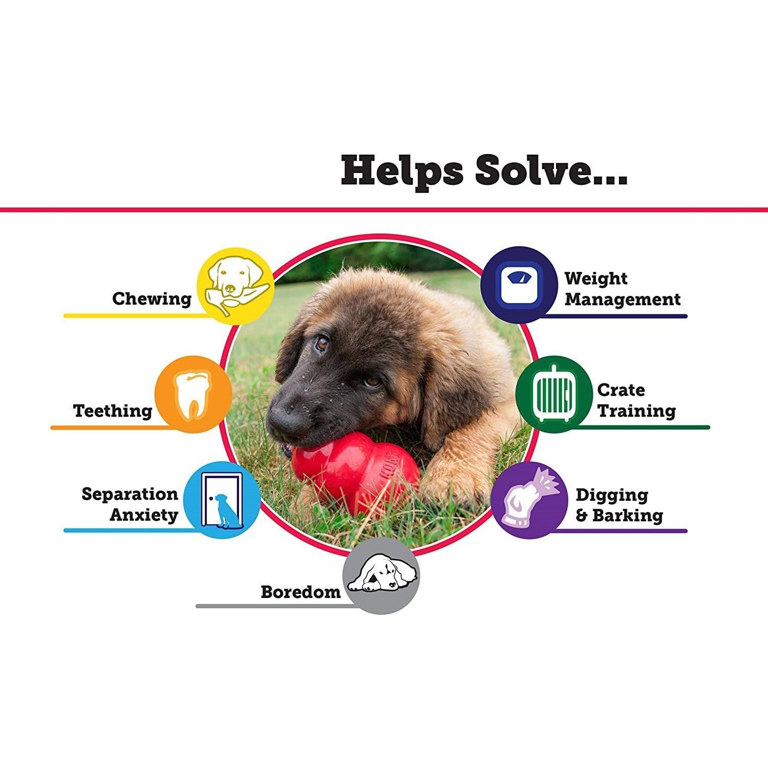 Juguete para Perros KONG Clásico Grande 226g Rellenable