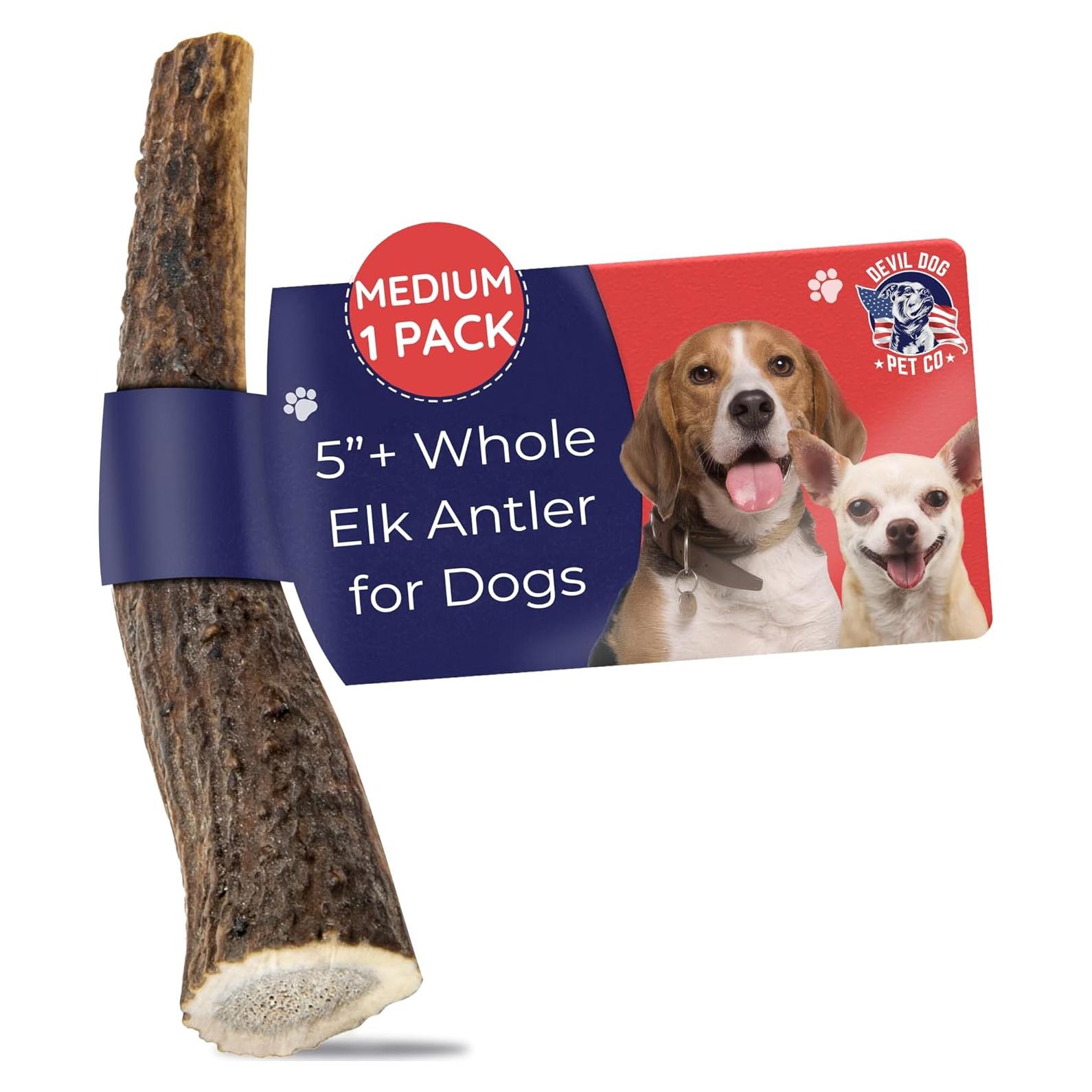 Cuerno de Alce Mediano Devil Dog Pet Co. 12.7 cm - Masticable Natural