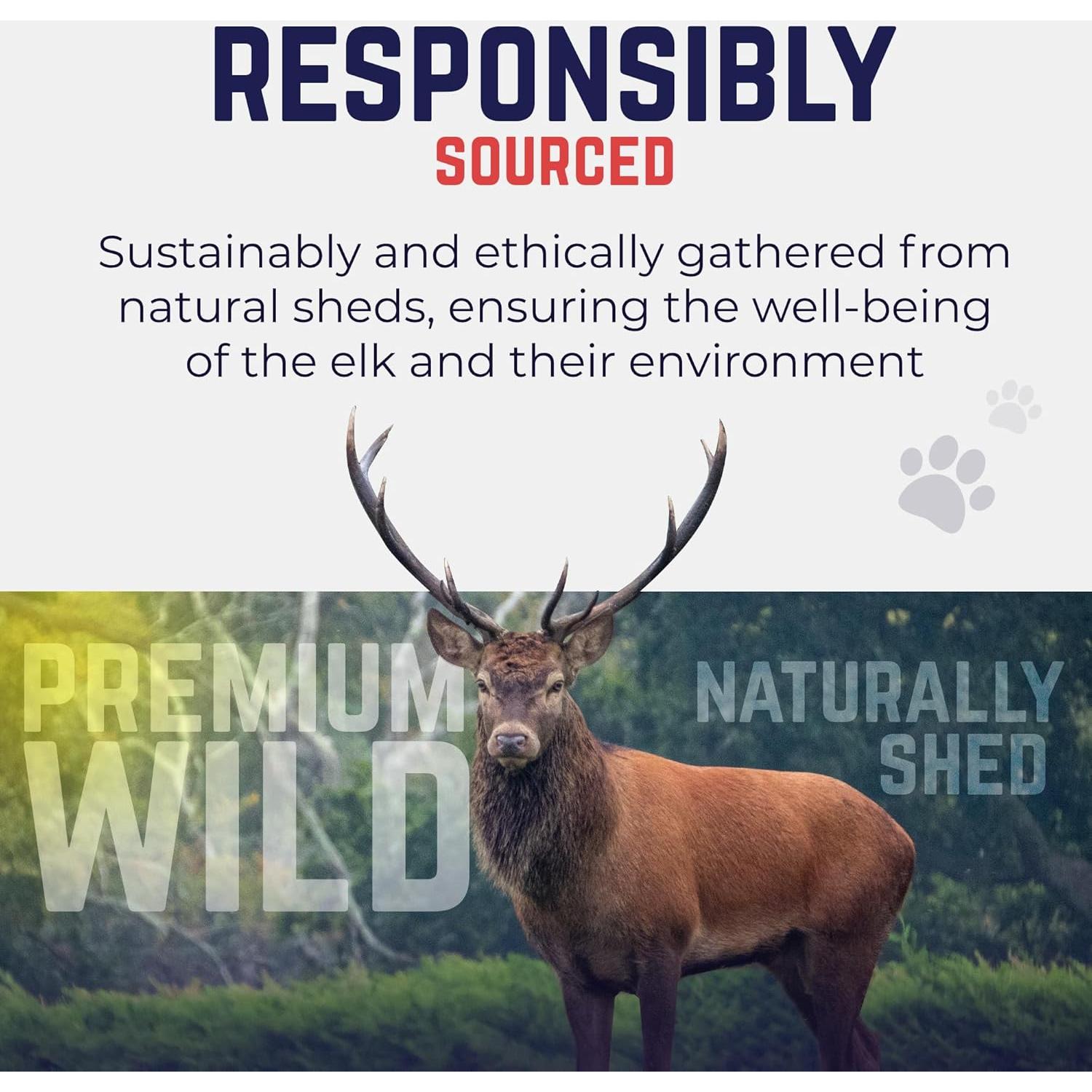 Cuerno de Alce Mediano Devil Dog Pet Co. 12.7 cm - Masticable Natural