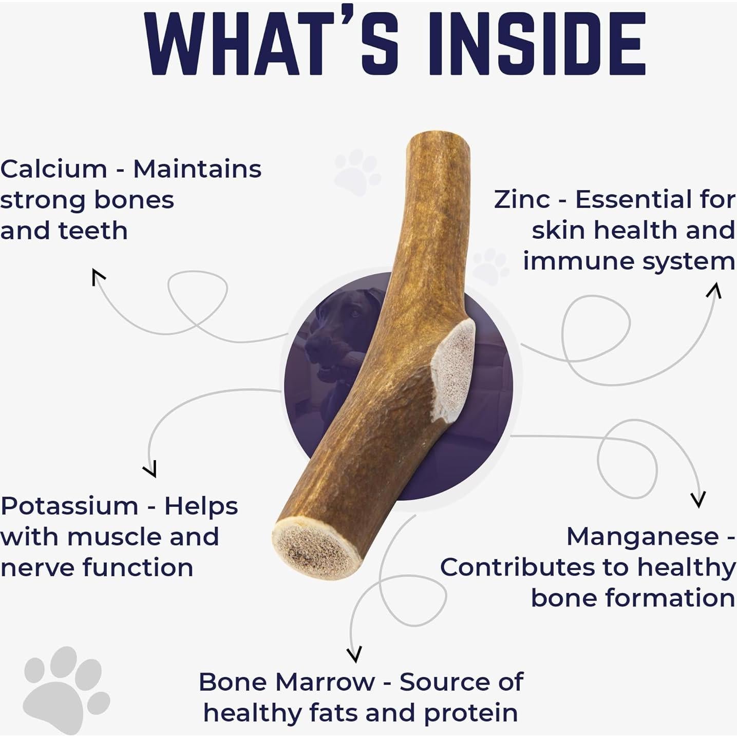 Cuerno de Alce Mediano Devil Dog Pet Co. 12.7 cm - Masticable Natural