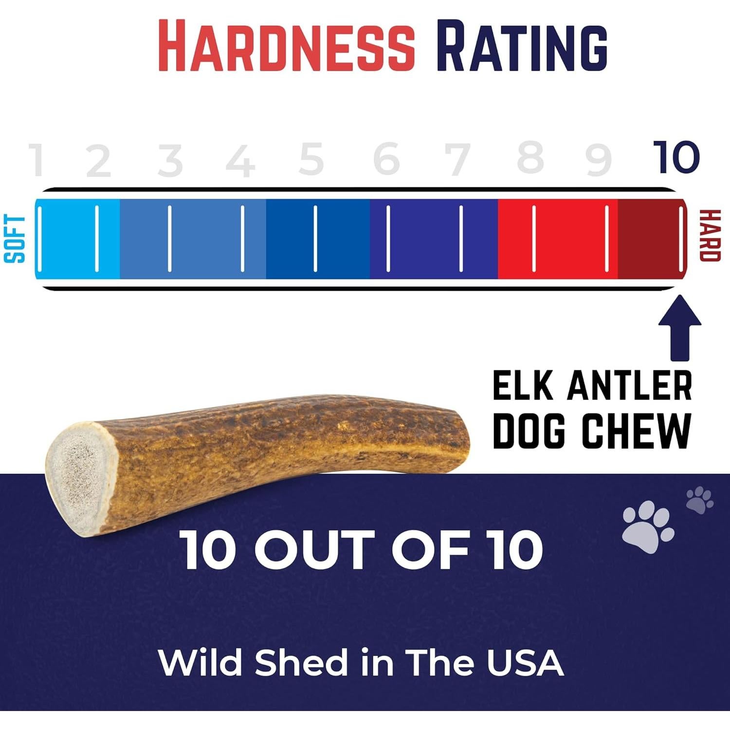 Cuerno de Alce Mediano Devil Dog Pet Co. 12.7 cm - Masticable Natural