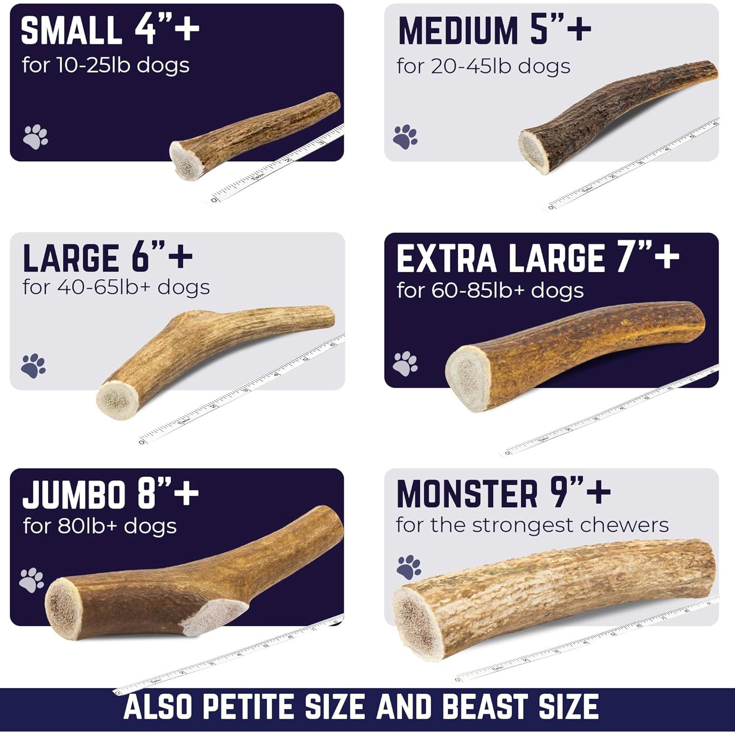 Cuerno de Alce Mediano Devil Dog Pet Co. 12.7 cm - Masticable Natural