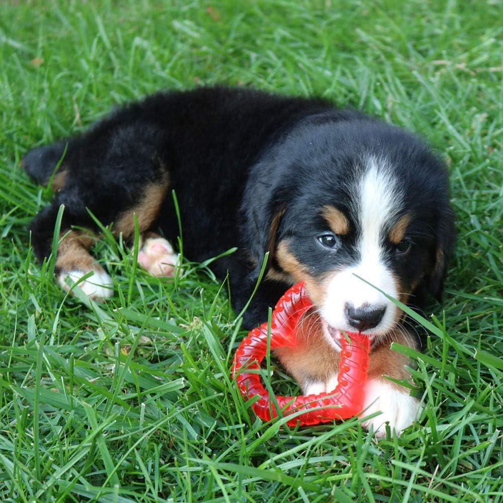 Juguete para Cachorros SmartPetLove Snuggle Puppy 10cm