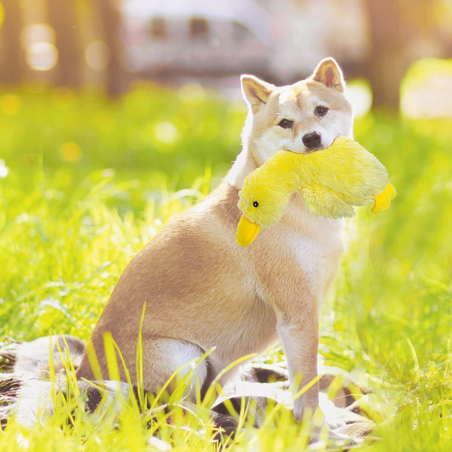 Juguete de Perro de Peluche Squeaky Pato EXPAWLORER Amarillo Grande