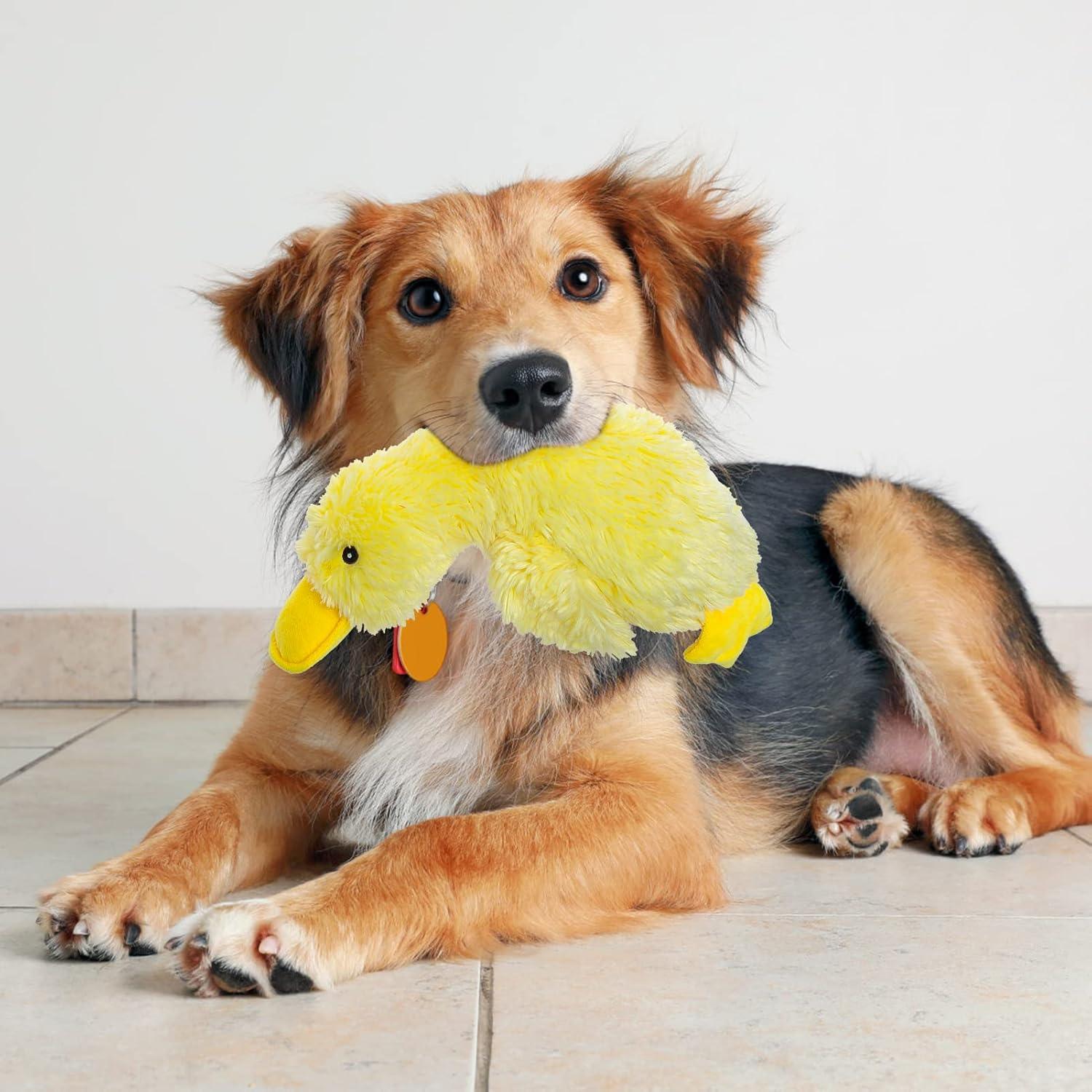 Juguete de Perro de Peluche Squeaky Pato EXPAWLORER Amarillo Grande