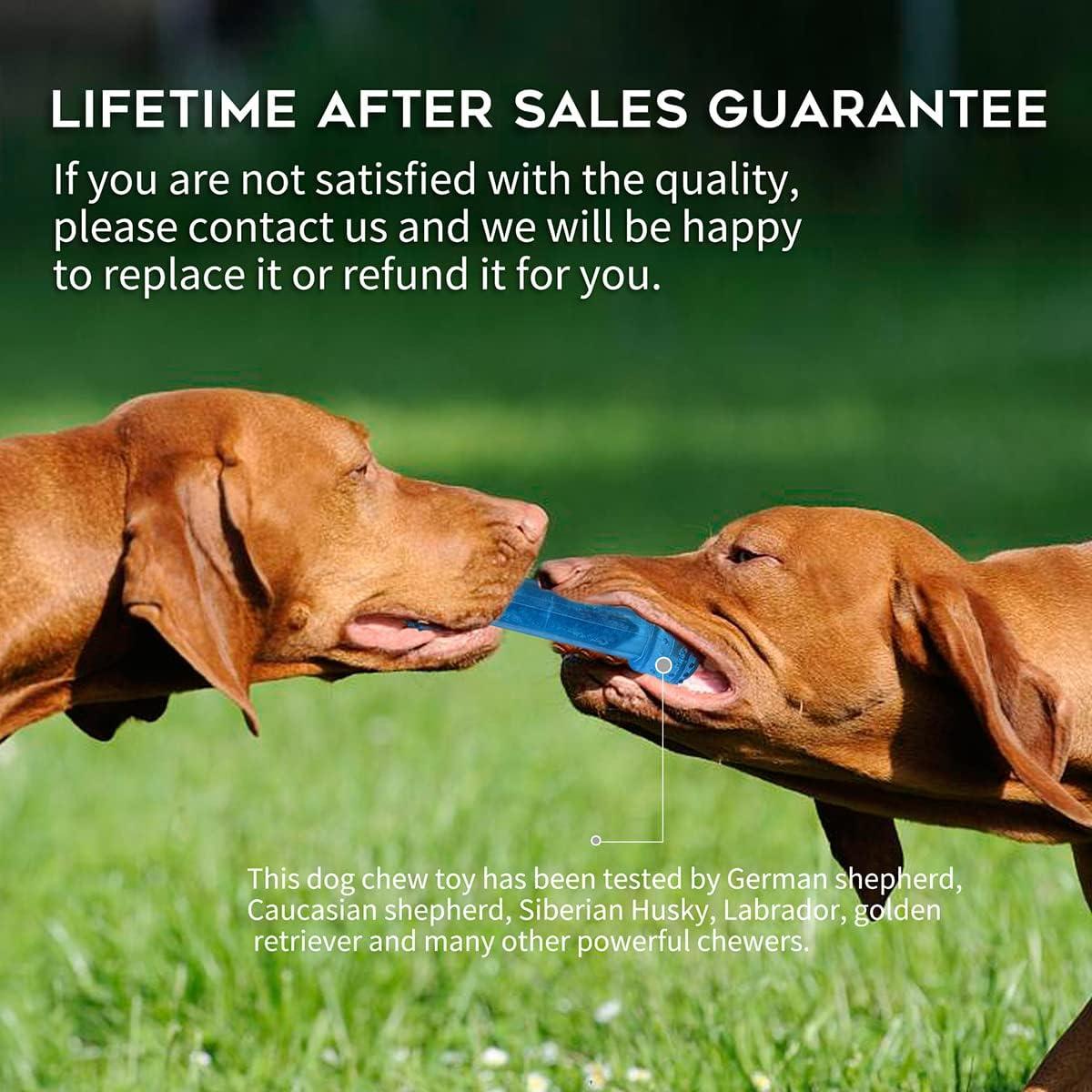 Juguete de Masticar Congelable para Cachorros SPOFLY - Azul