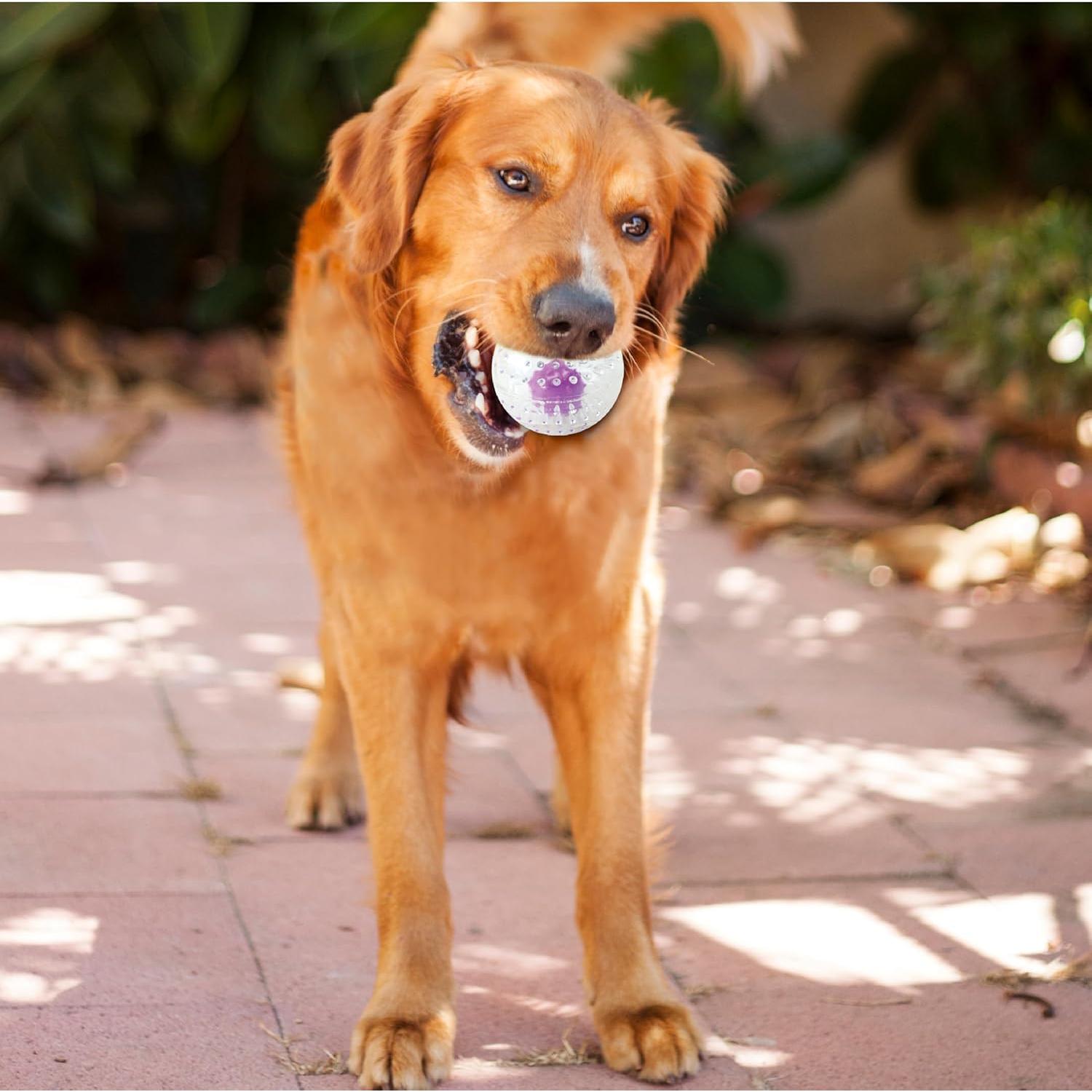 Pelota de Juguete para Perros Petstages Nubbiez 9cm