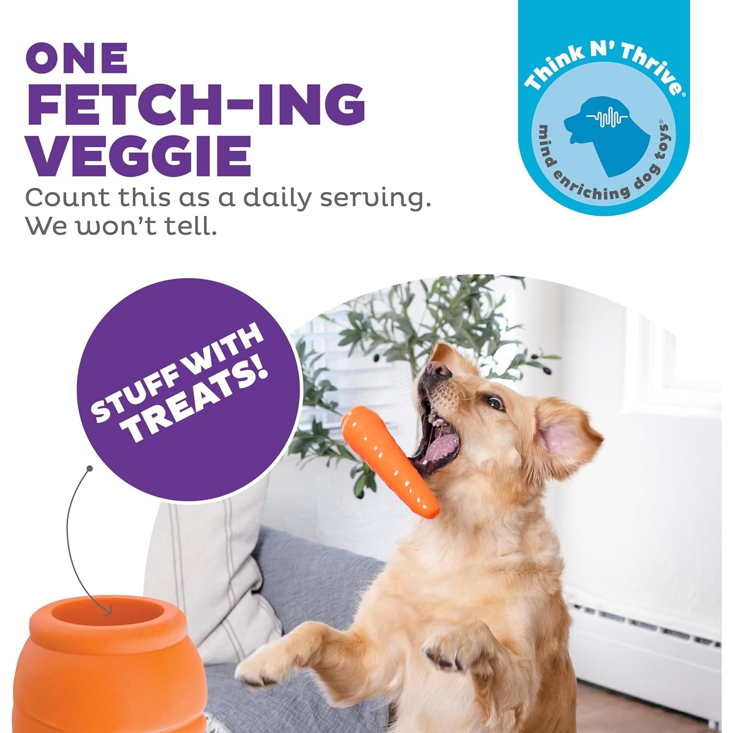 Juguete Masticable Outward Hound Zanahoria 18.4cm para Perros