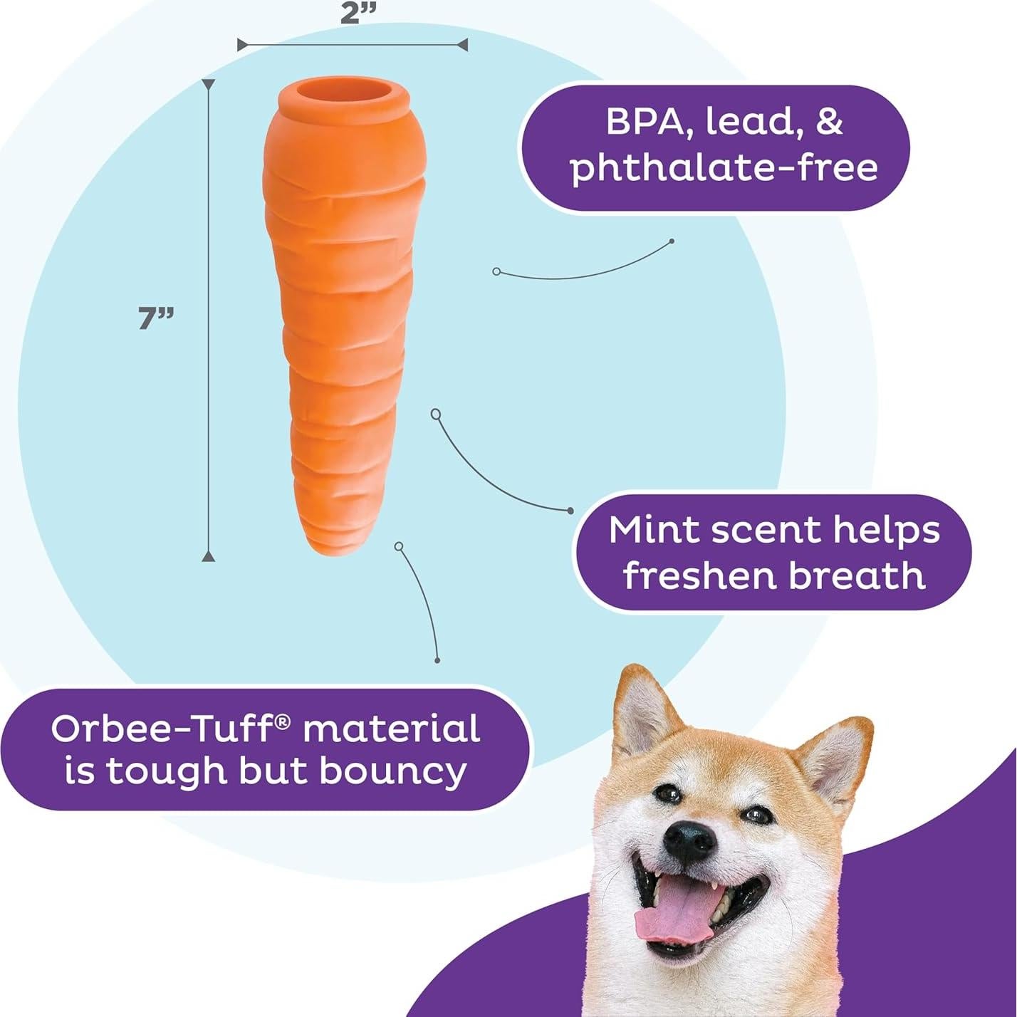 Juguete Masticable Outward Hound Zanahoria 18.4cm para Perros