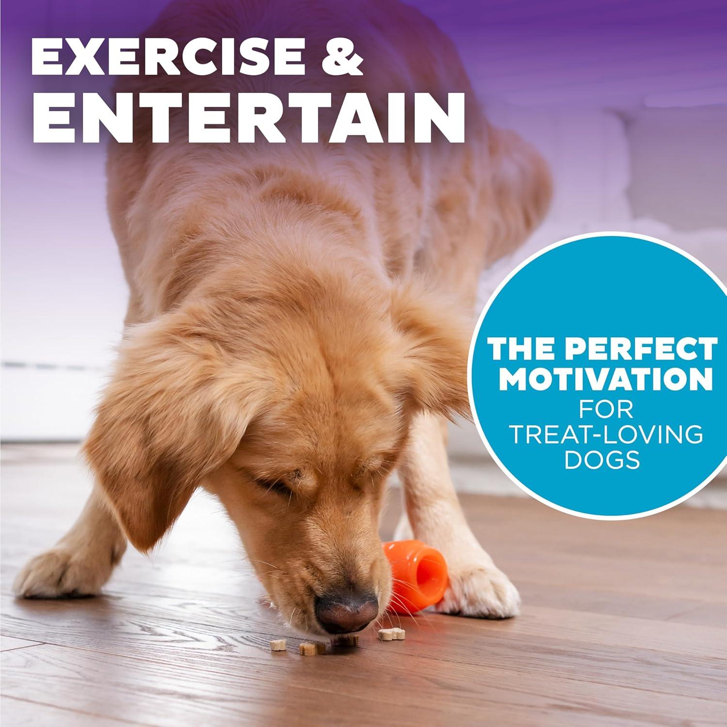 Juguete Masticable Outward Hound Zanahoria 18.4cm para Perros