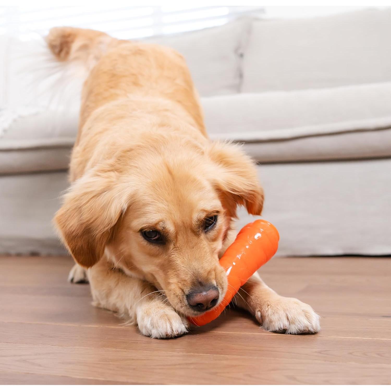 Juguete Masticable Outward Hound Zanahoria 18.4cm para Perros