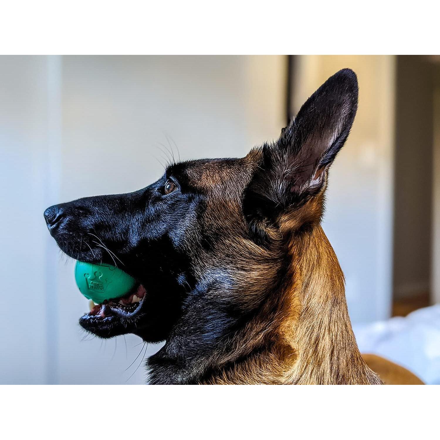 Pelotas para Perros Chew King - Caucho Natural 6.35 cm