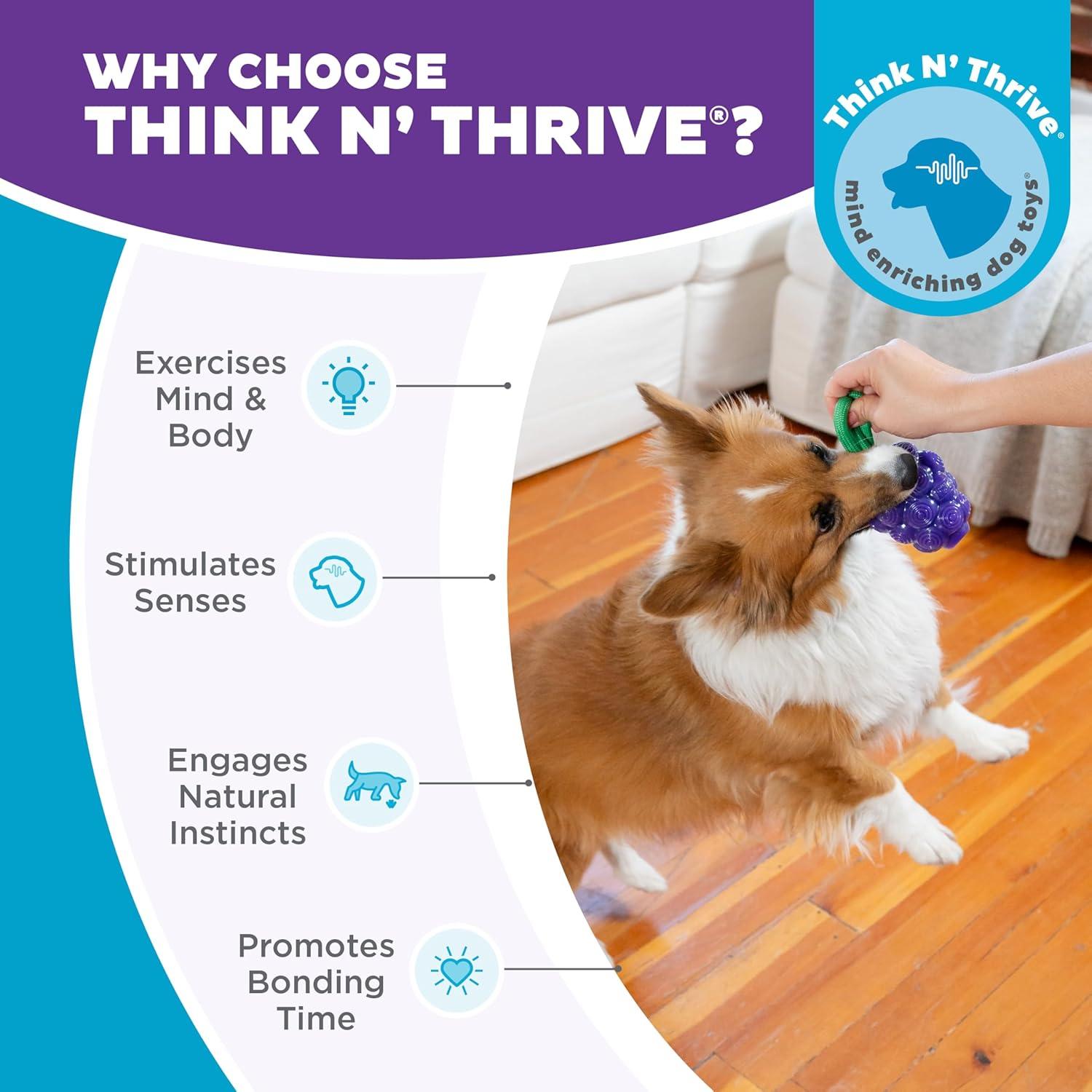 Juguete Masticable Dental Outward Hound Uvas 16cm para Perros