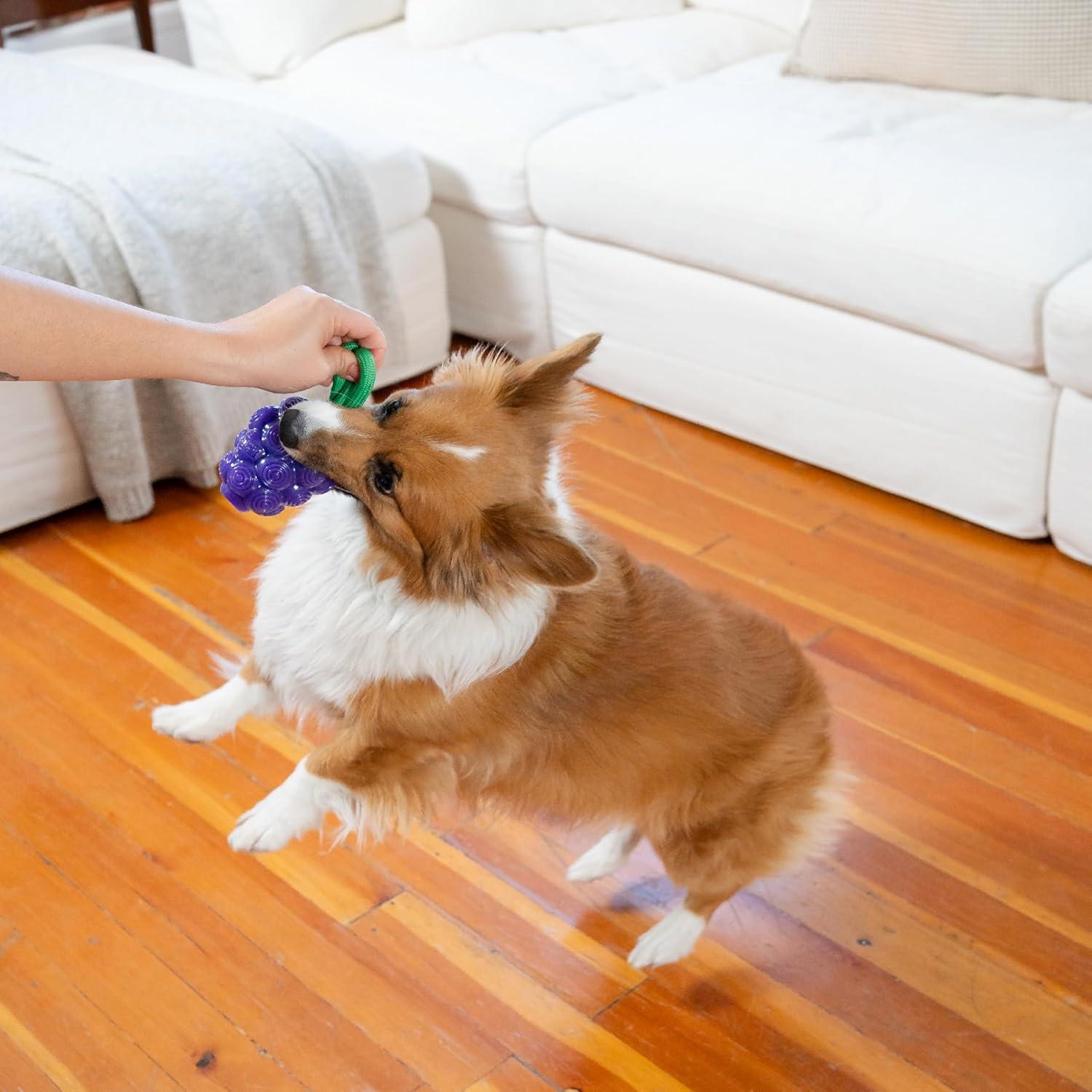 Juguete Masticable Dental Outward Hound Uvas 16cm para Perros