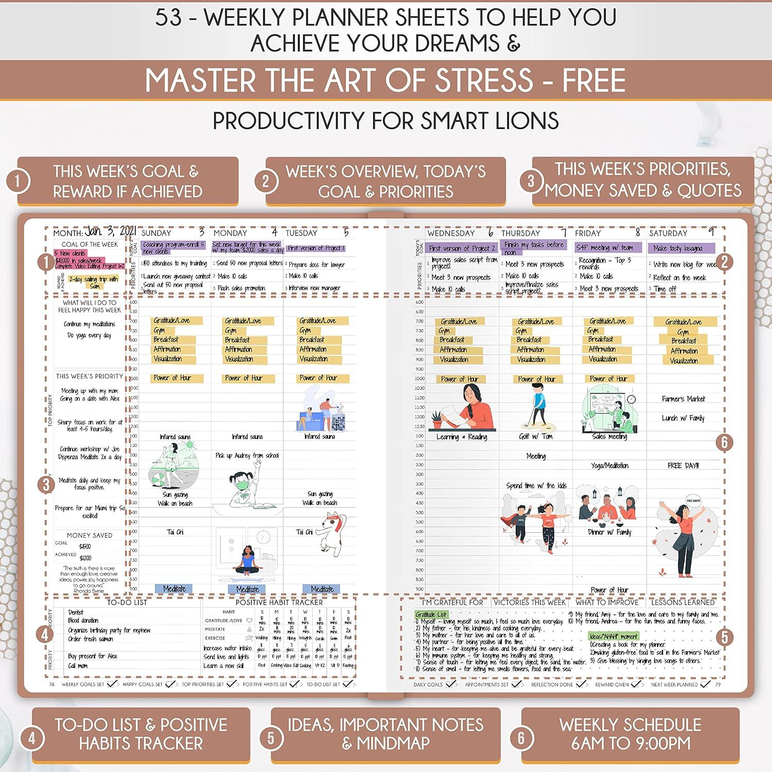 Planificador Diario Semanal Mensual A5 Freedom Mastery Oro Rosa
