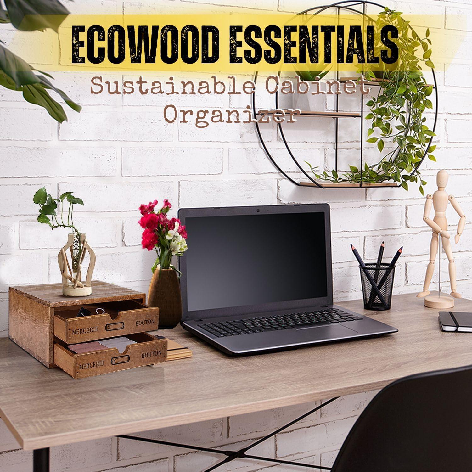 Organizador de Escritorio de Madera Flexzion con 2 Cajones