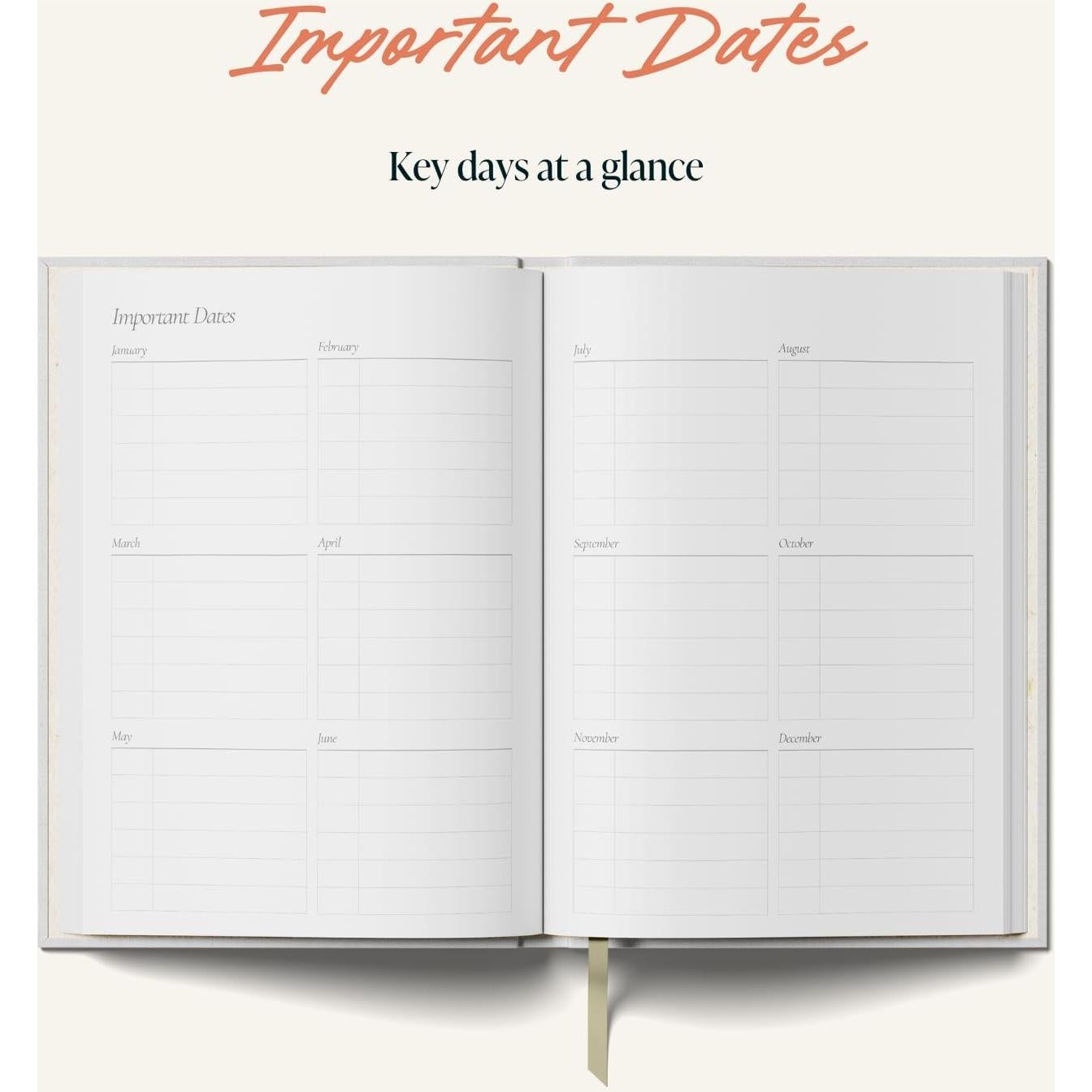 Planificador Diario Sin Fecha Yop & Tom A5 Jarrón - Productividad