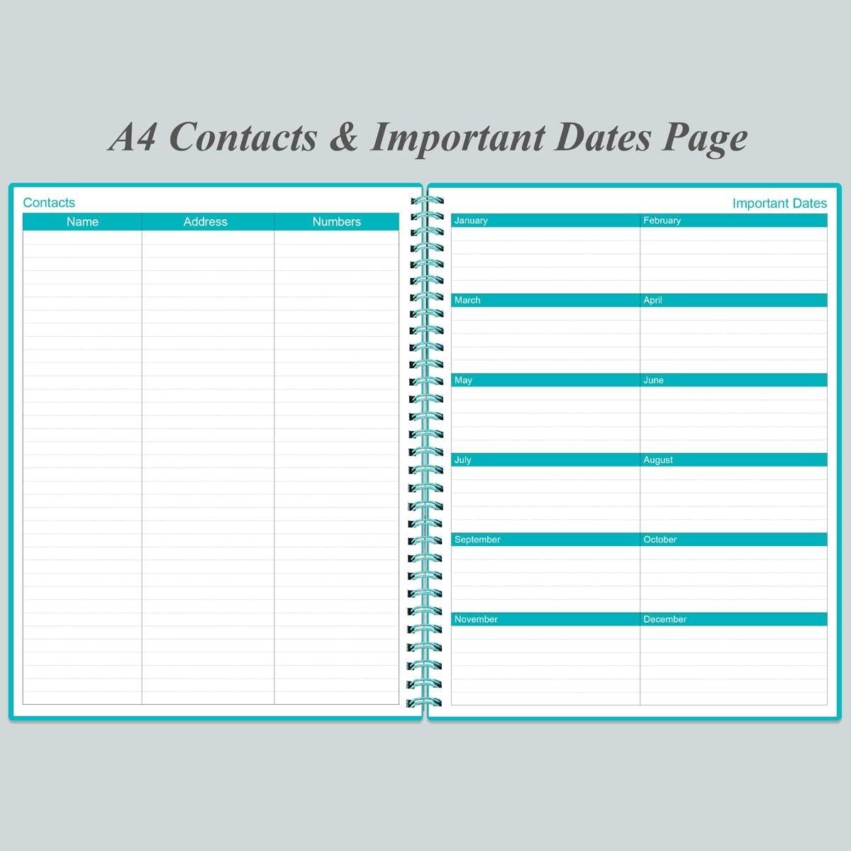 Planificador Sin Fecha Heveboik A4 Verde Azulado 80 Hojas