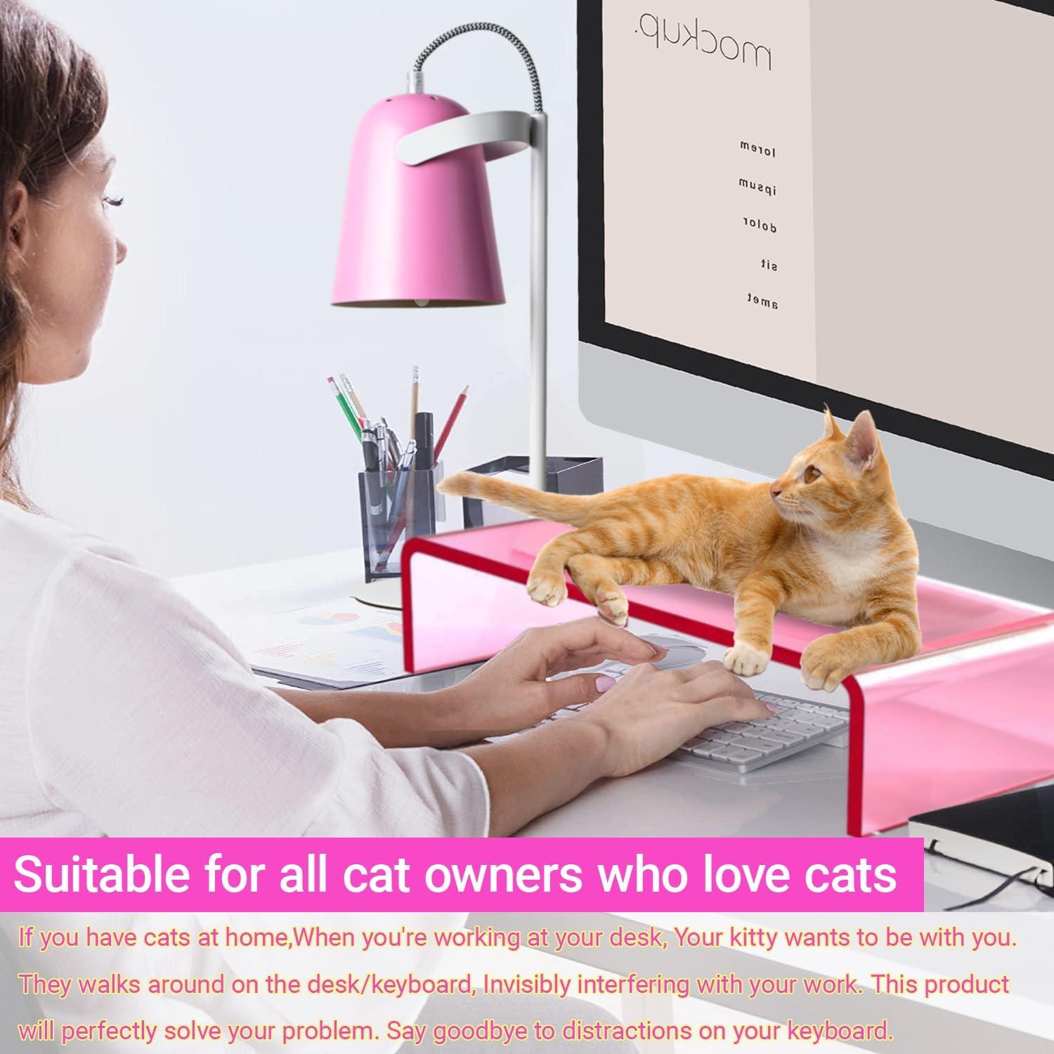 Soporte de Monitor Acrílico Ergonómico Rosa 40.64x19.05 cm