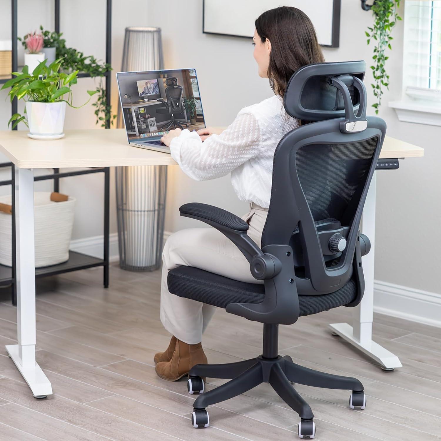 Silla de Oficina Ergonómica SeekFancy M903 con Soporte Lumbar
