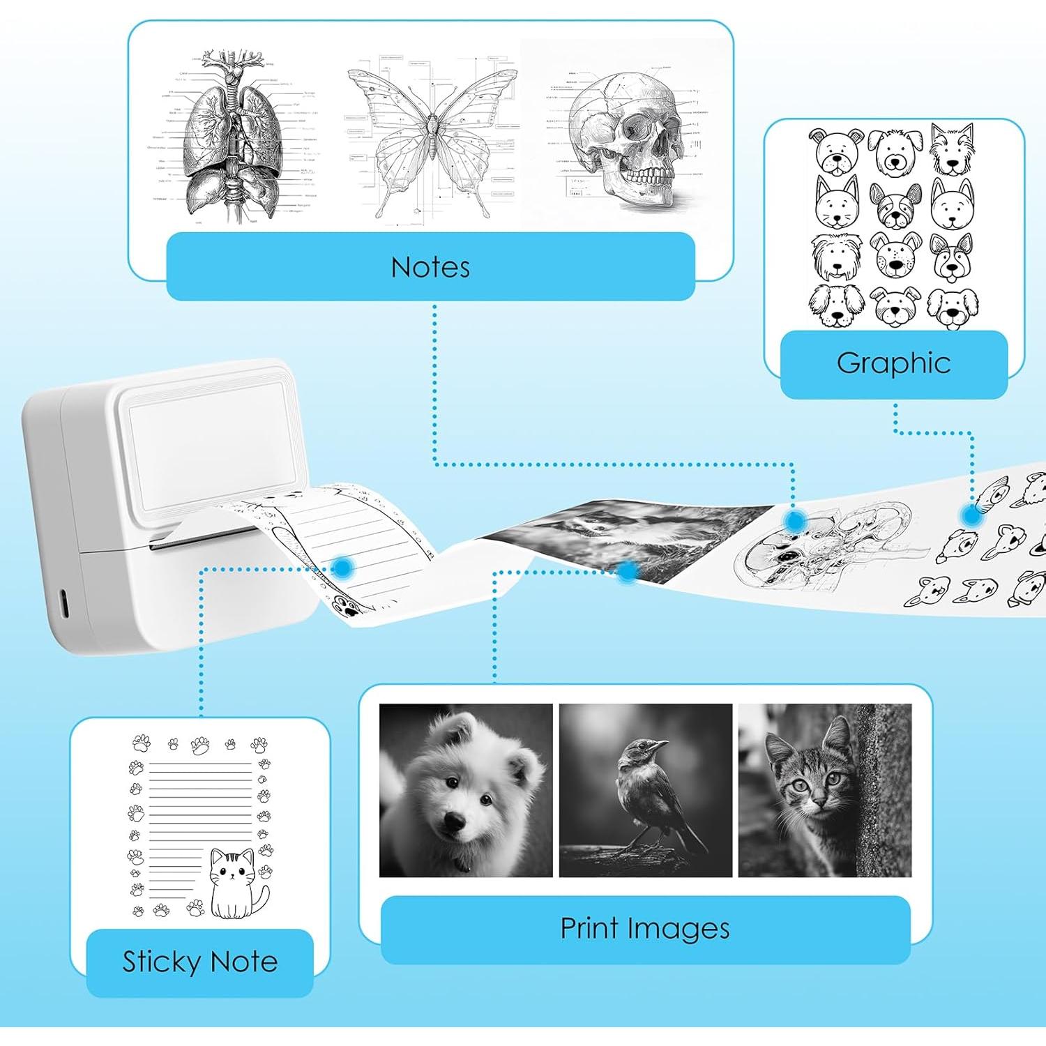 Impresora de Etiquetas Bluetooth KNAON Y2C Portátil 50mm