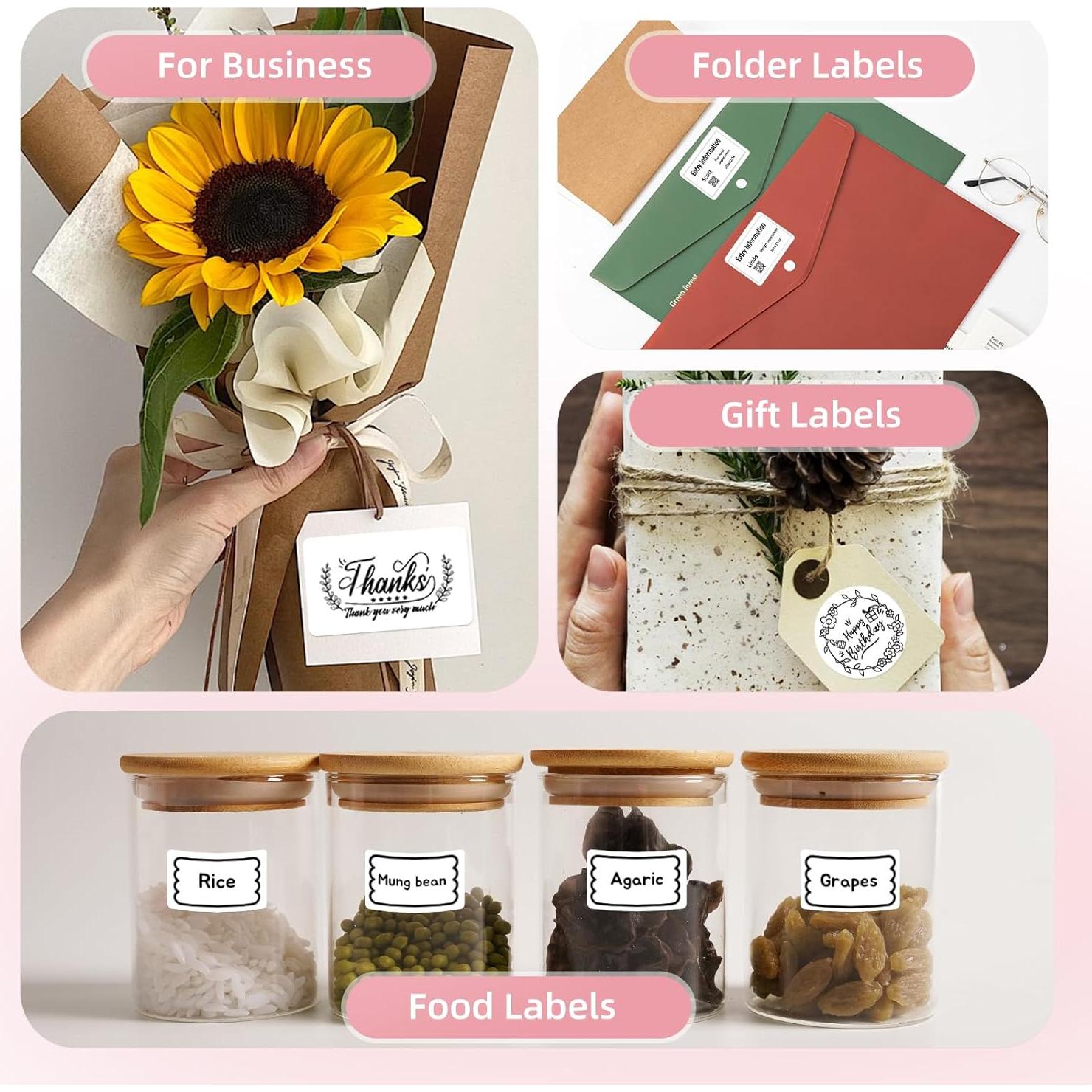 Impresora de Etiquetas ORGSTA T003 Bluetooth 8 cm Rosa