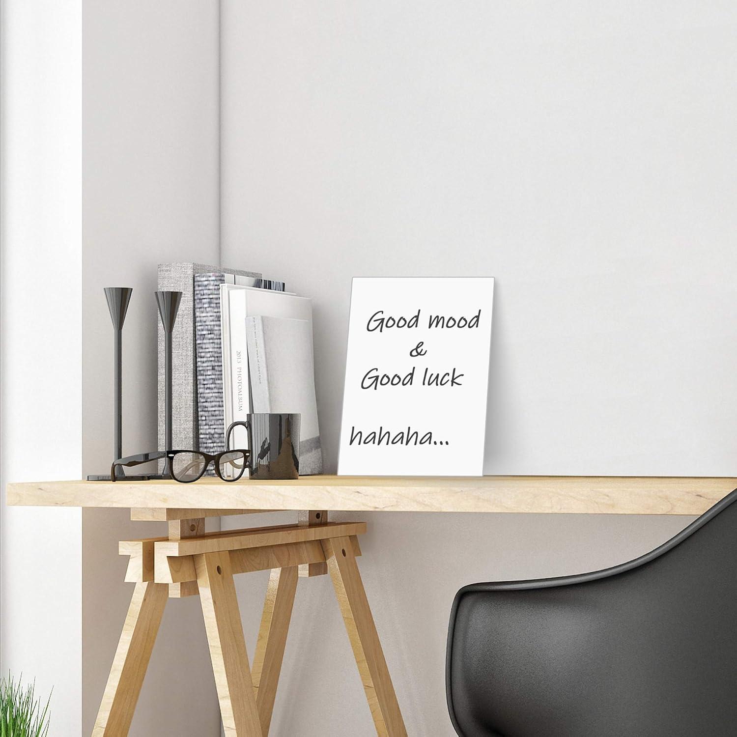 Hojas Magnéticas Borrables en Seco LLPT 15x21 cm Azul 6 Pzs