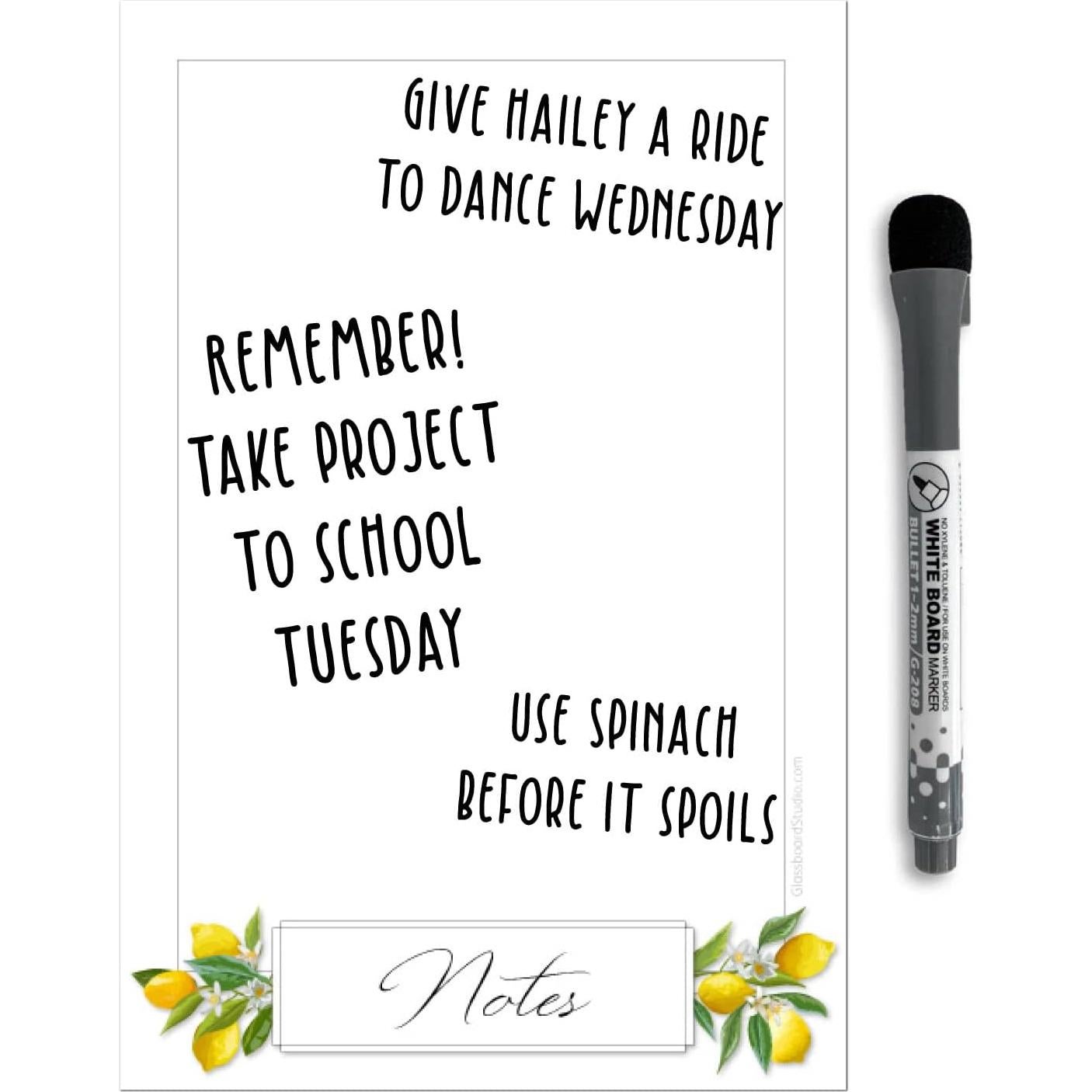 Vinilo de Pizarra Blanca Borrable Glassboard Studio 15x23cm