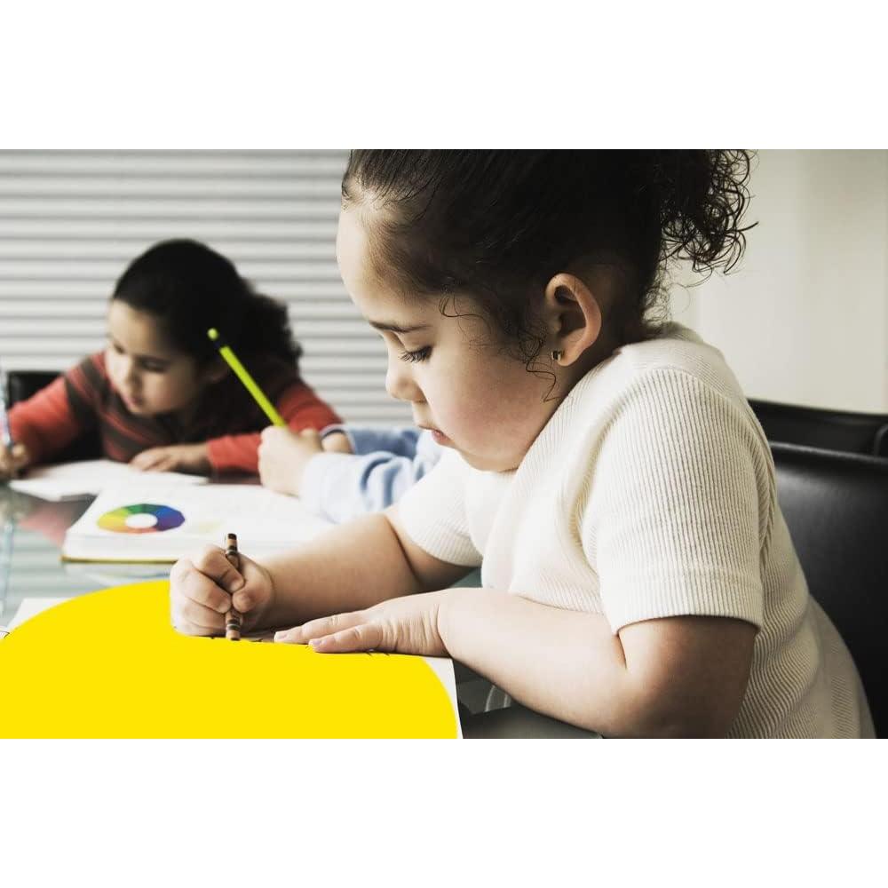 Paquete de 24 Marcadores de Pizarra Blanca Weigav 28 cm