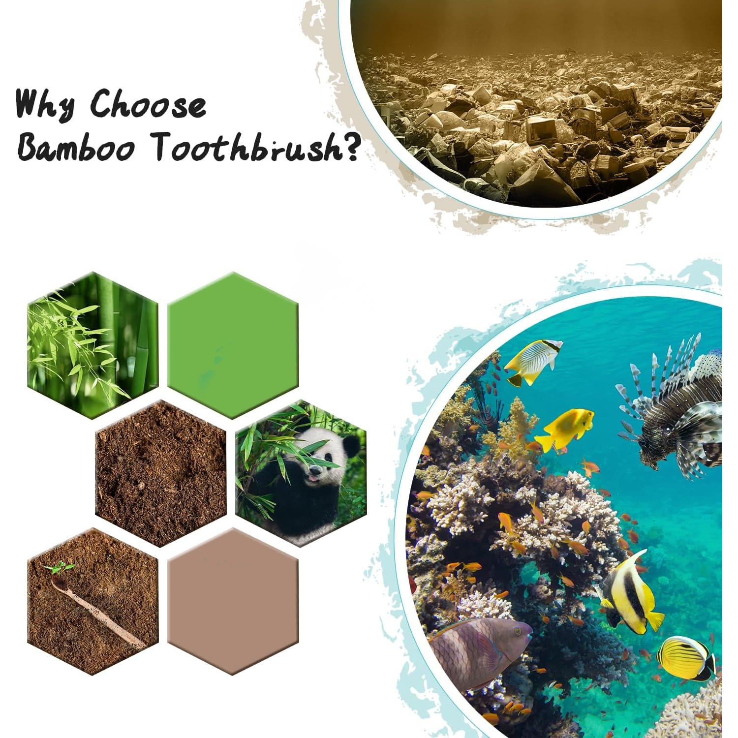 Cepillo de Dientes de Bambú Virgin Forest 10 Unidades Cerdas Suaves