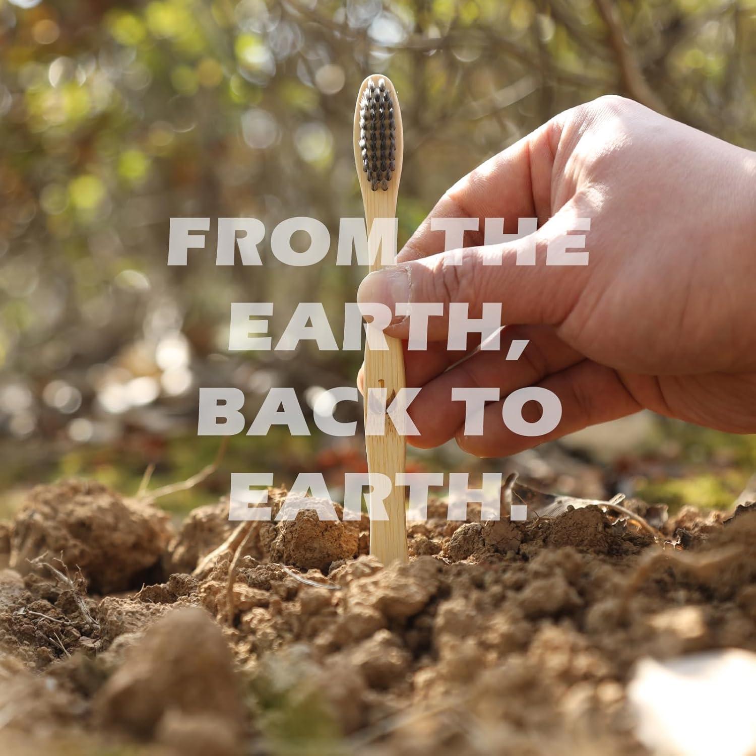 Cepillos de Dientes de Bambú Isshah Ecológicos - Paquete de 8