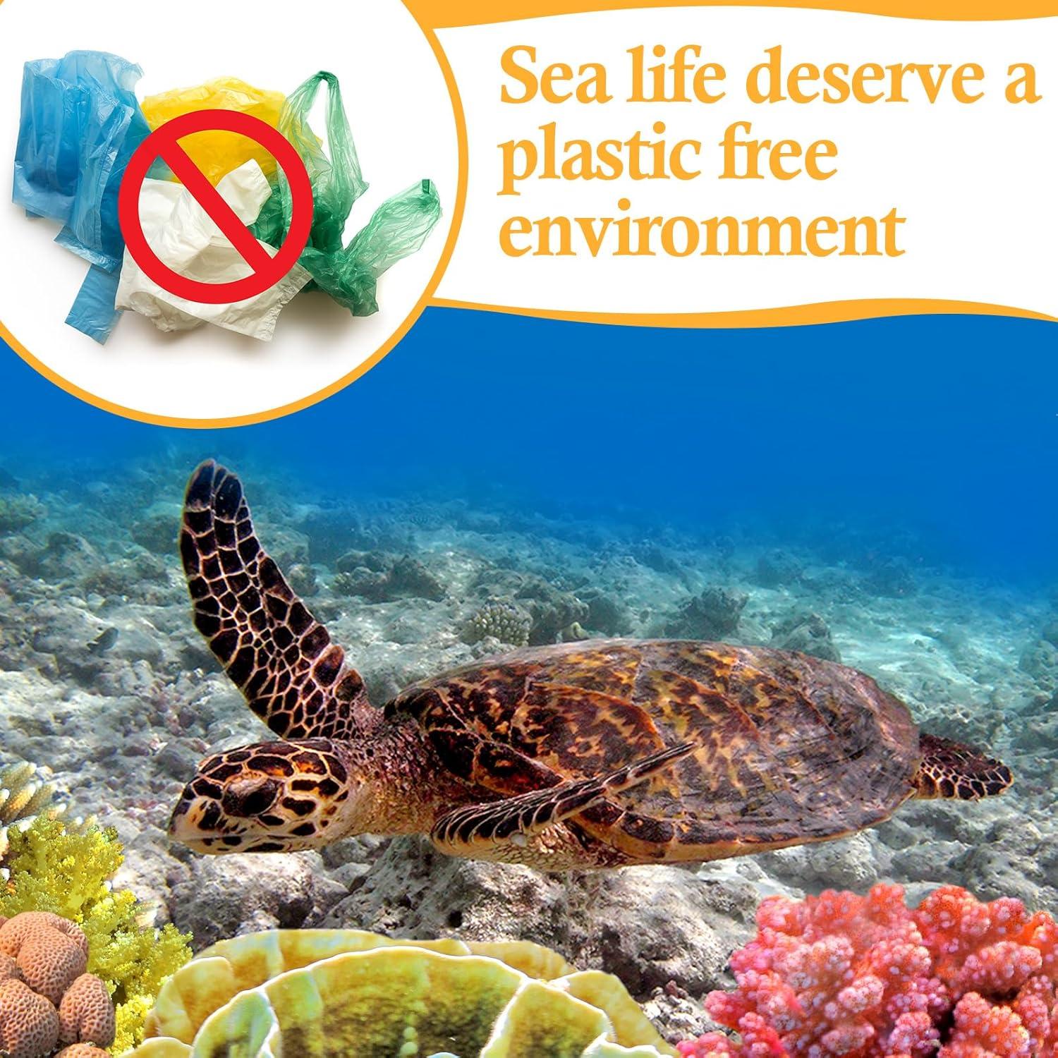 Conjunto de Regalo Zero Waste 13 Piezas Remerry Ecológico