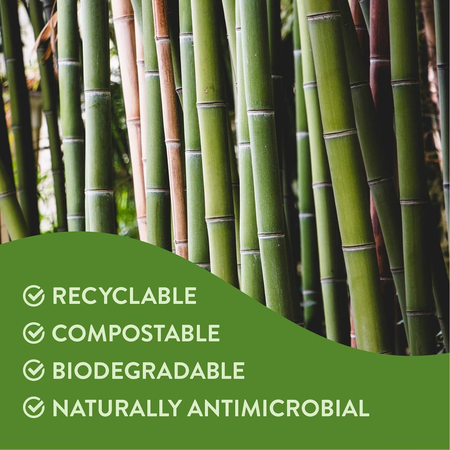 Cepillo de Dientes de Bambú Lindo EcoGrip - 4 Unidades con Carbón