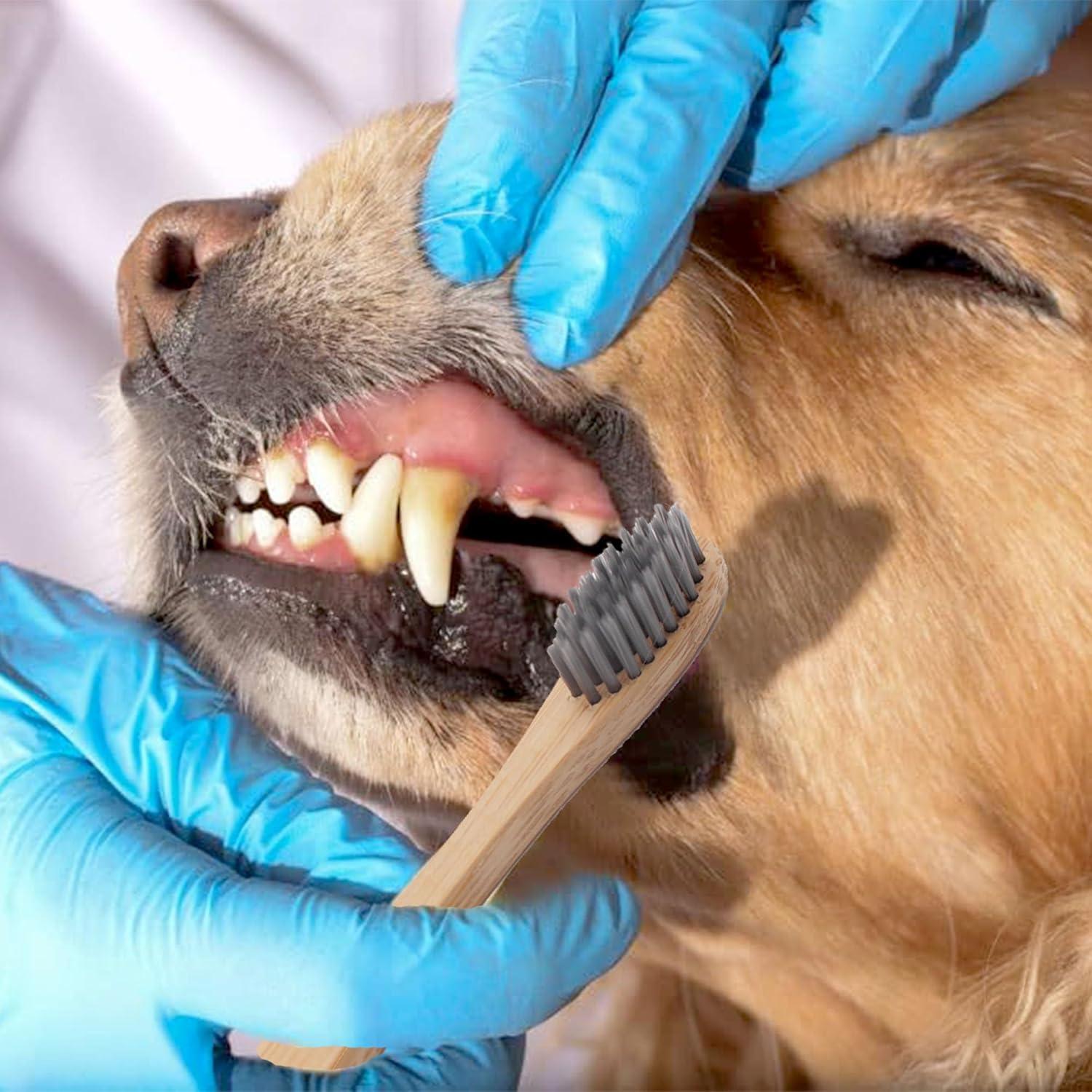 Juego de Cepillos de Dientes de Bambú H&H Pets - 3 Unidades