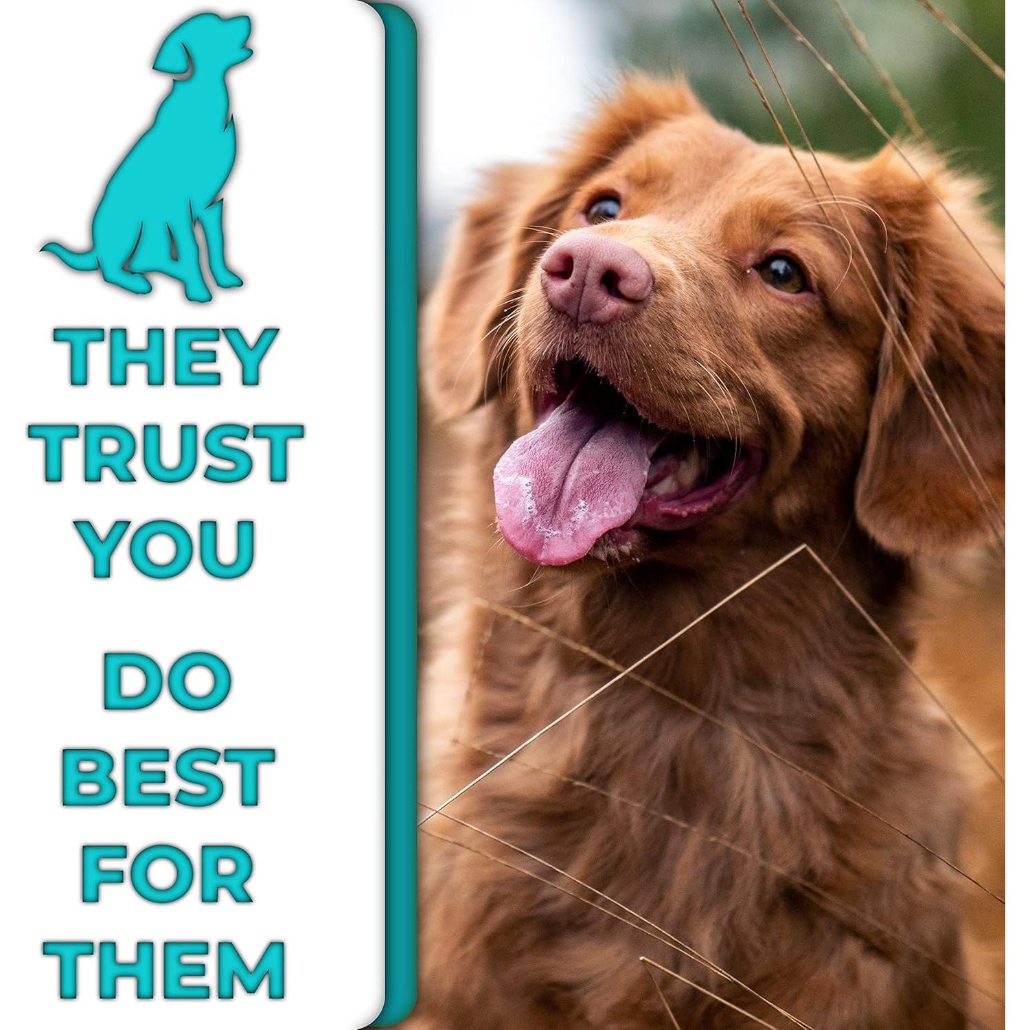 Juego de Cepillos de Dientes de Bambú H&H Pets - 3 Unidades