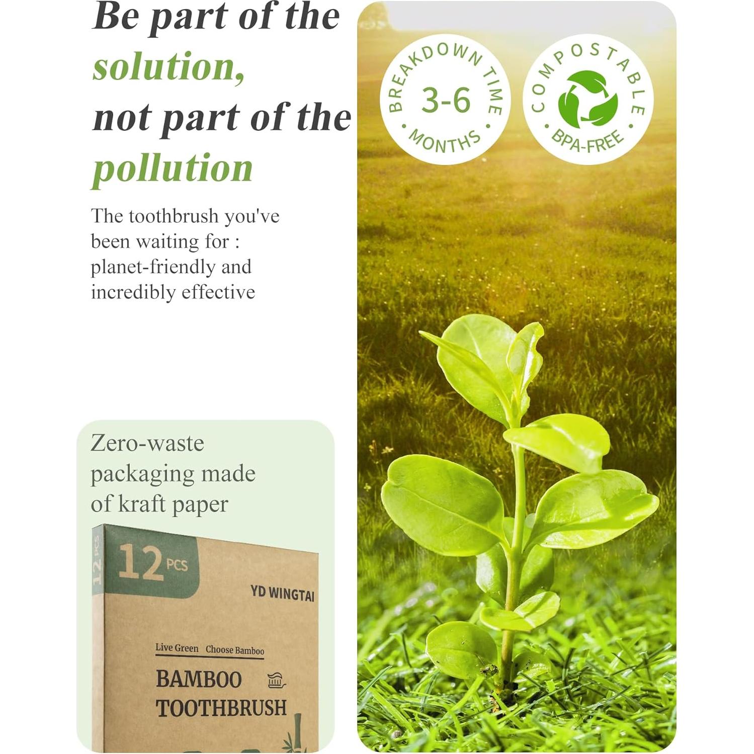 Cepillos de Dientes de Bambú YD WINGTAI Paquete de 12 Biodegradables