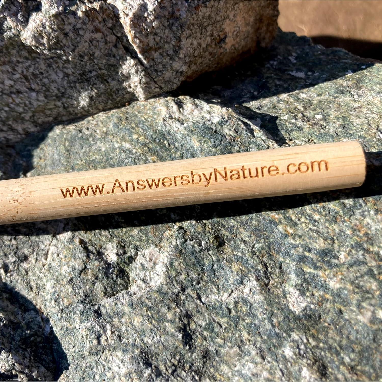 Cepillo de Dientes Natural 4-Pack Answers by Nature - Biodegradable