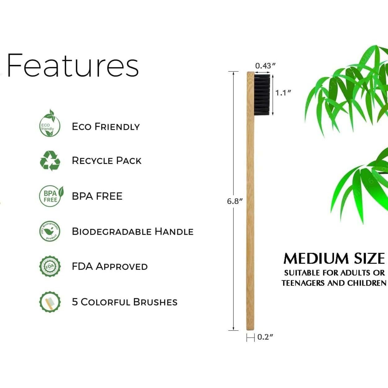 Cepillos de Dientes de Bambú ECOETBOO Cerdas Medianas Paquete 10