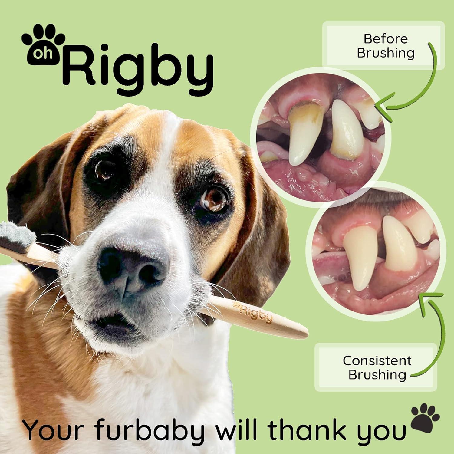 Cepillo de Dientes para Perros OH RIGBY - Cerdas Suaves 10,000