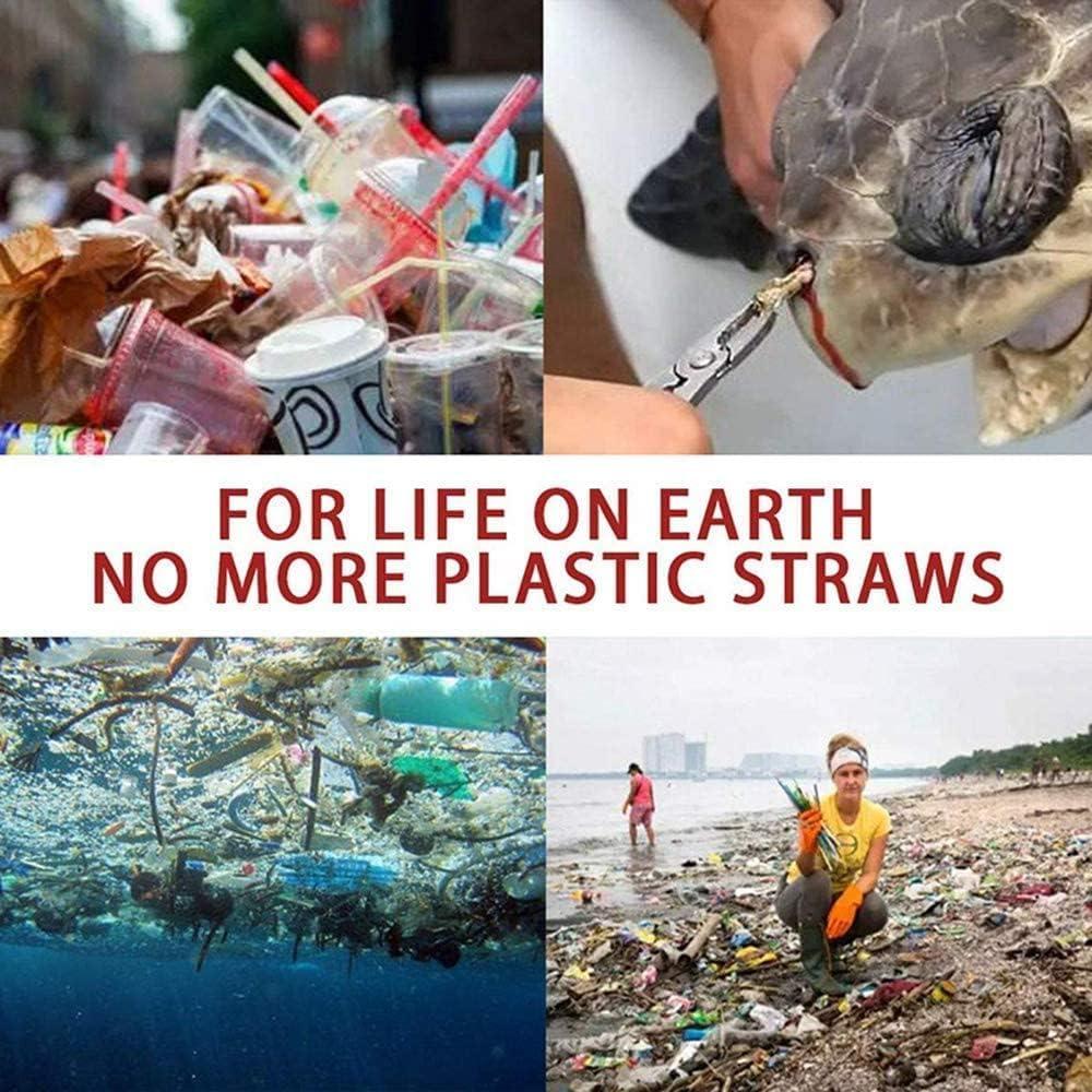 Popotes Telescópicos Reutilizables Chargenyang 2 Piezas Acero Inoxidable