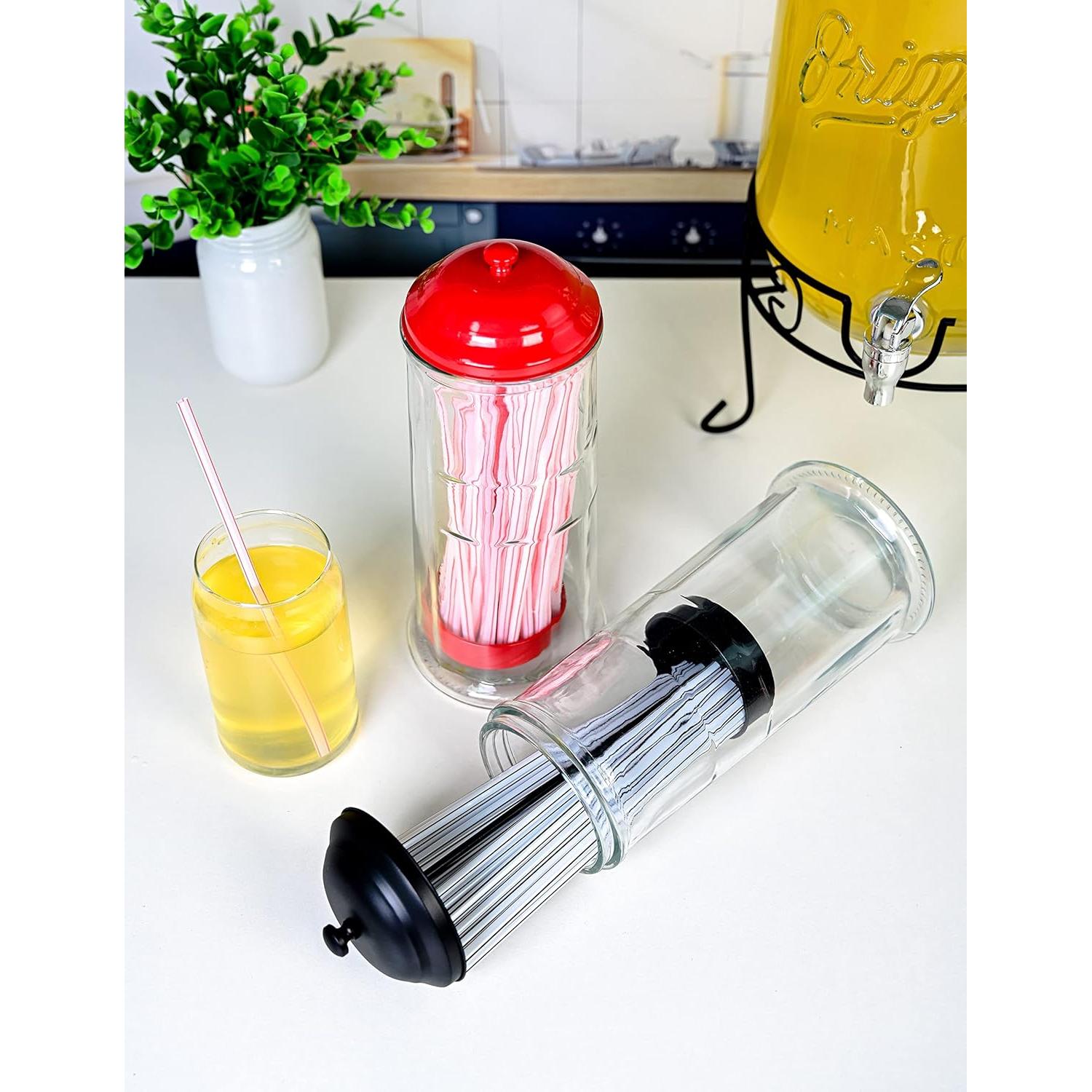 Dispensador de Pajitas de Acero Inoxidable GadgetWiz Negro