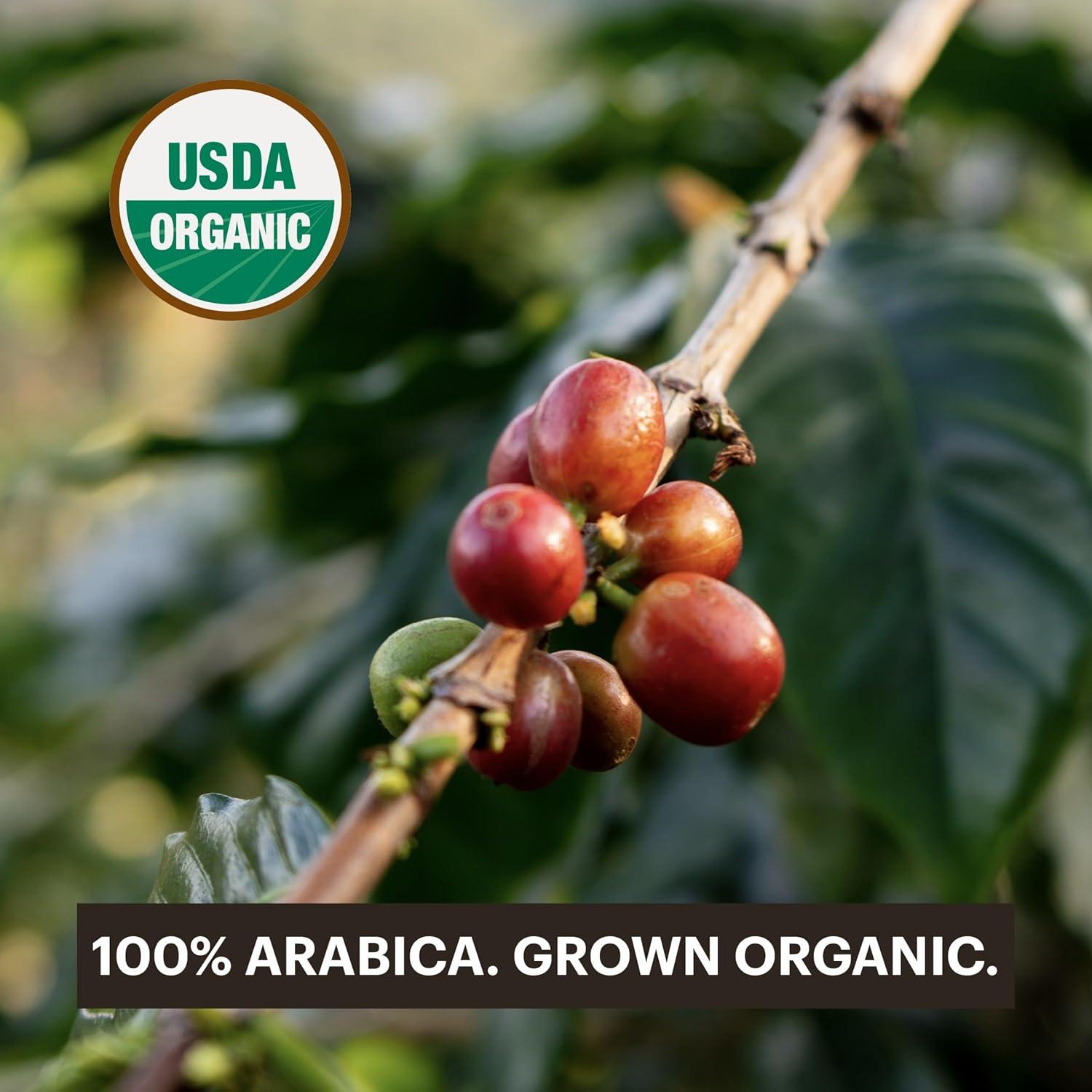 Cápsulas de Café Orgánico G Grana 60 Unidades para Nespresso