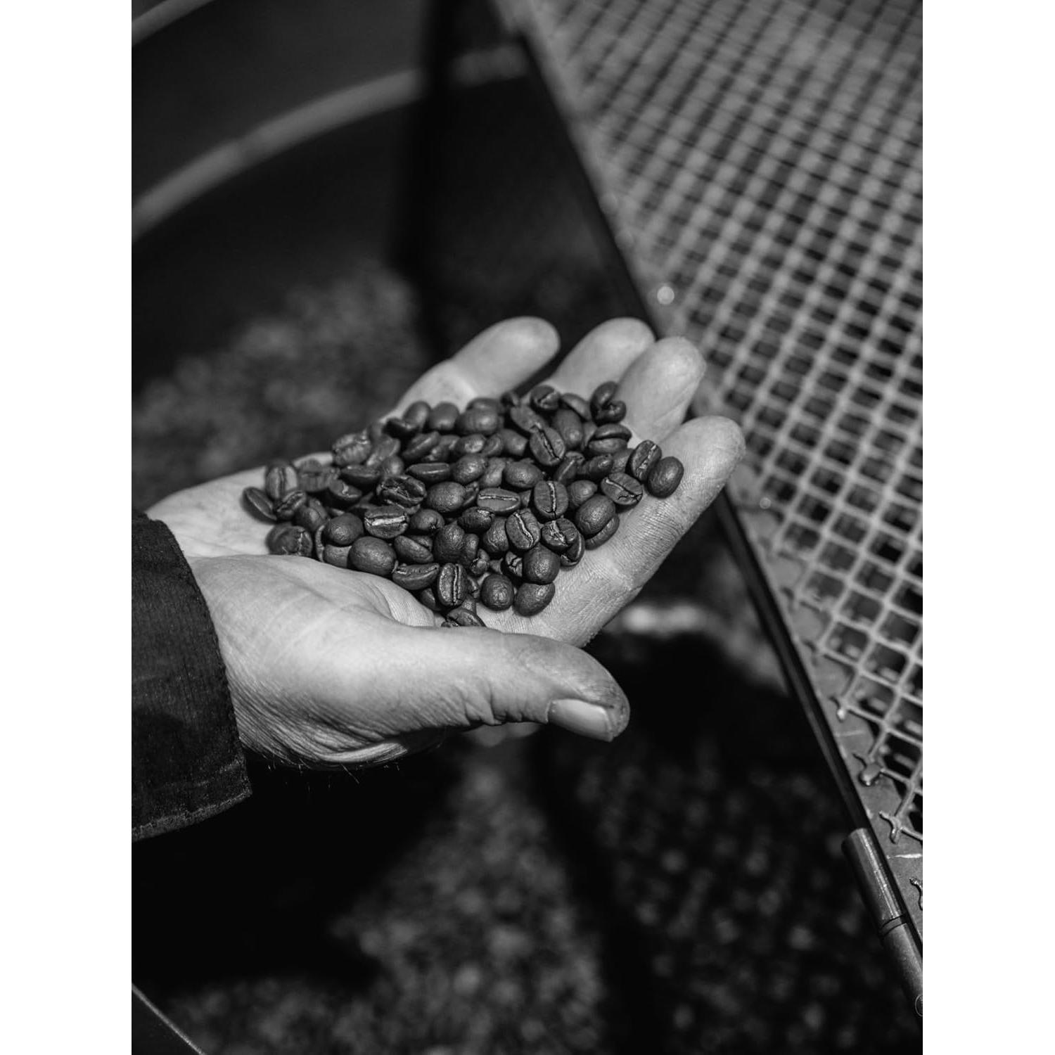 Cápsulas de Café Bristot 100% Arábica Tostado Medio 10 Unidades