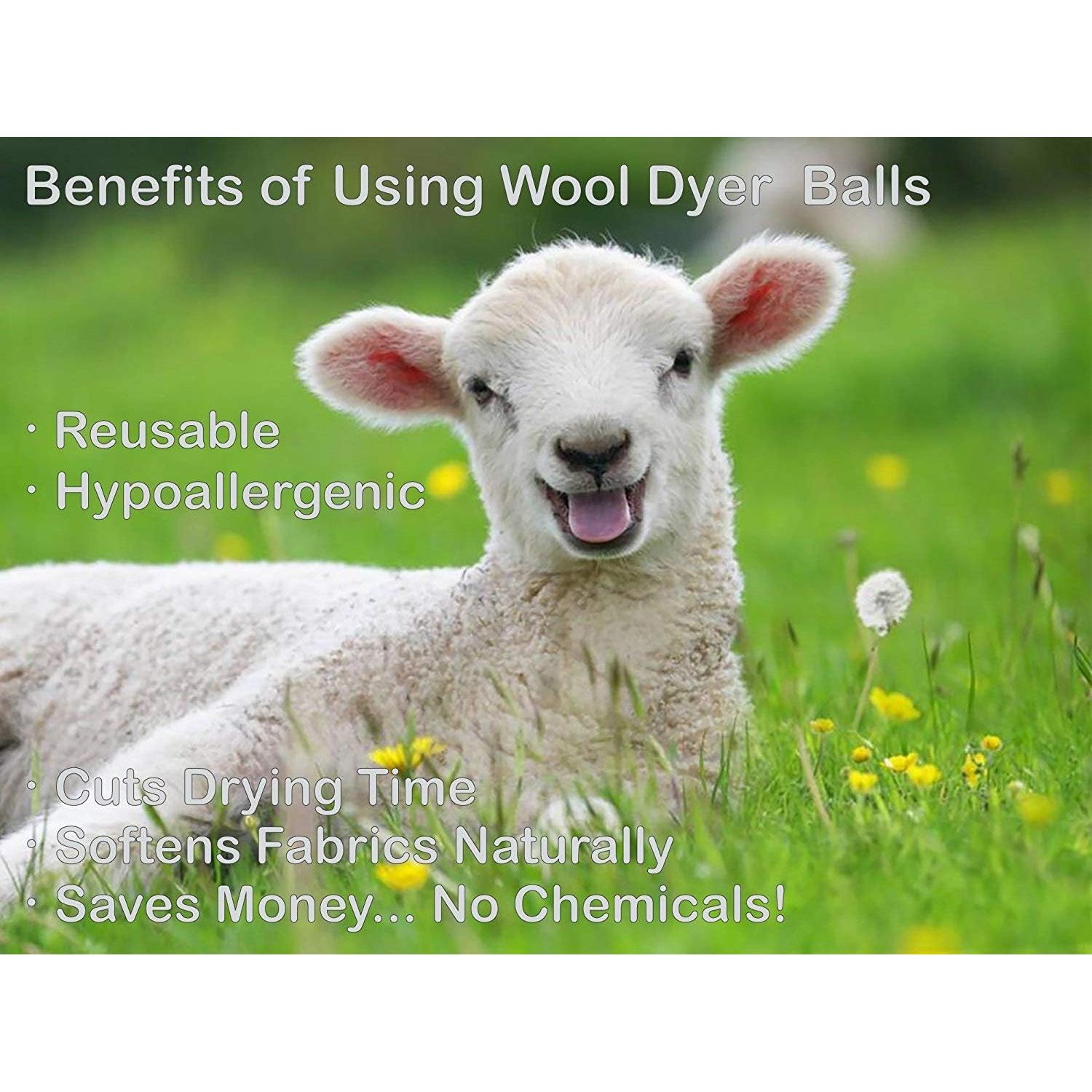 Bolas de Secado de Lana Ecojeannie - 6 Piezas XL Ecológicas