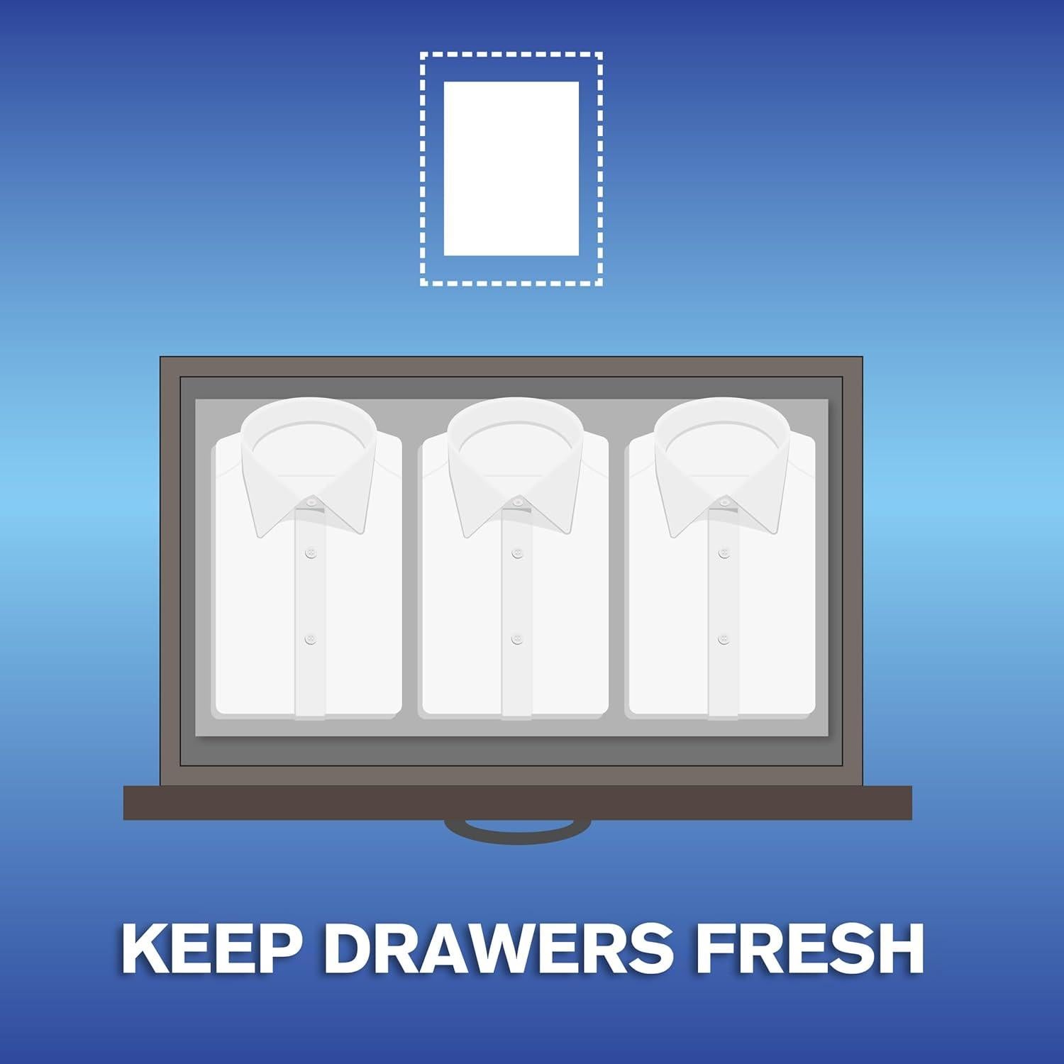 Hojas de Suavizante de Tela ARM & HAMMER Lluvia de Montaña 144ct