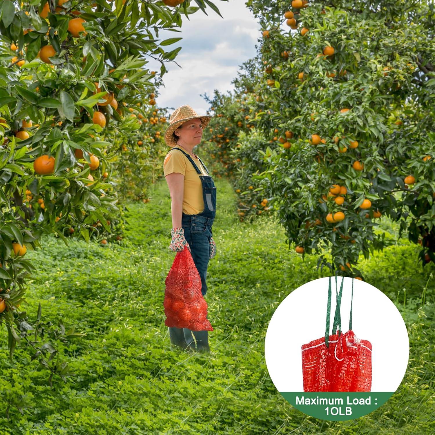 Paquete de 50 bolsas de malla SFIELCAPA 40x68 cm 16.3 kg